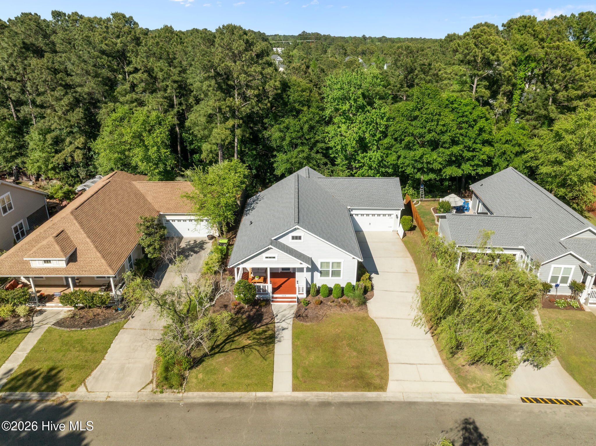 100569497 | Photo 48