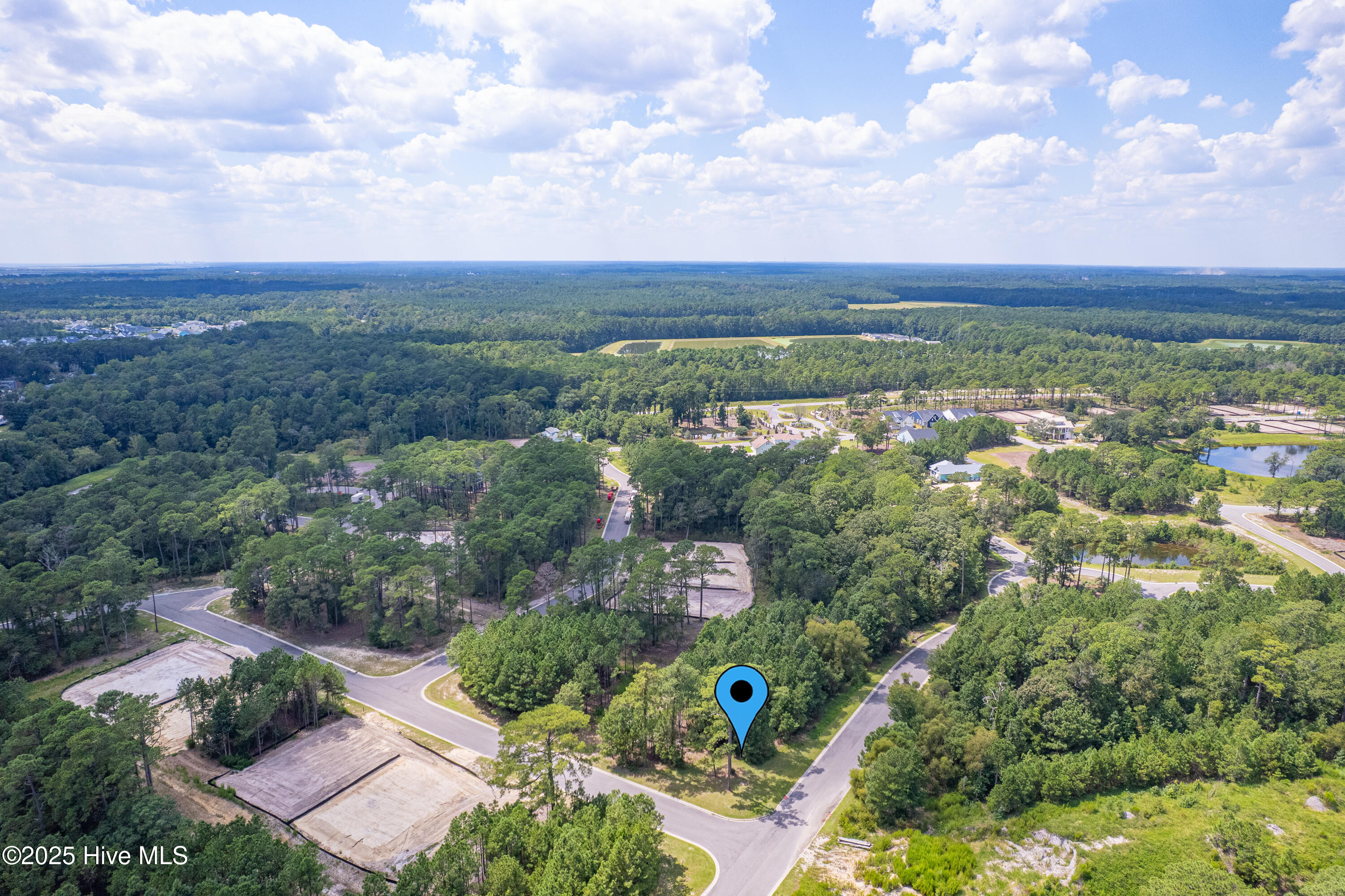 100524221 | Photo 12