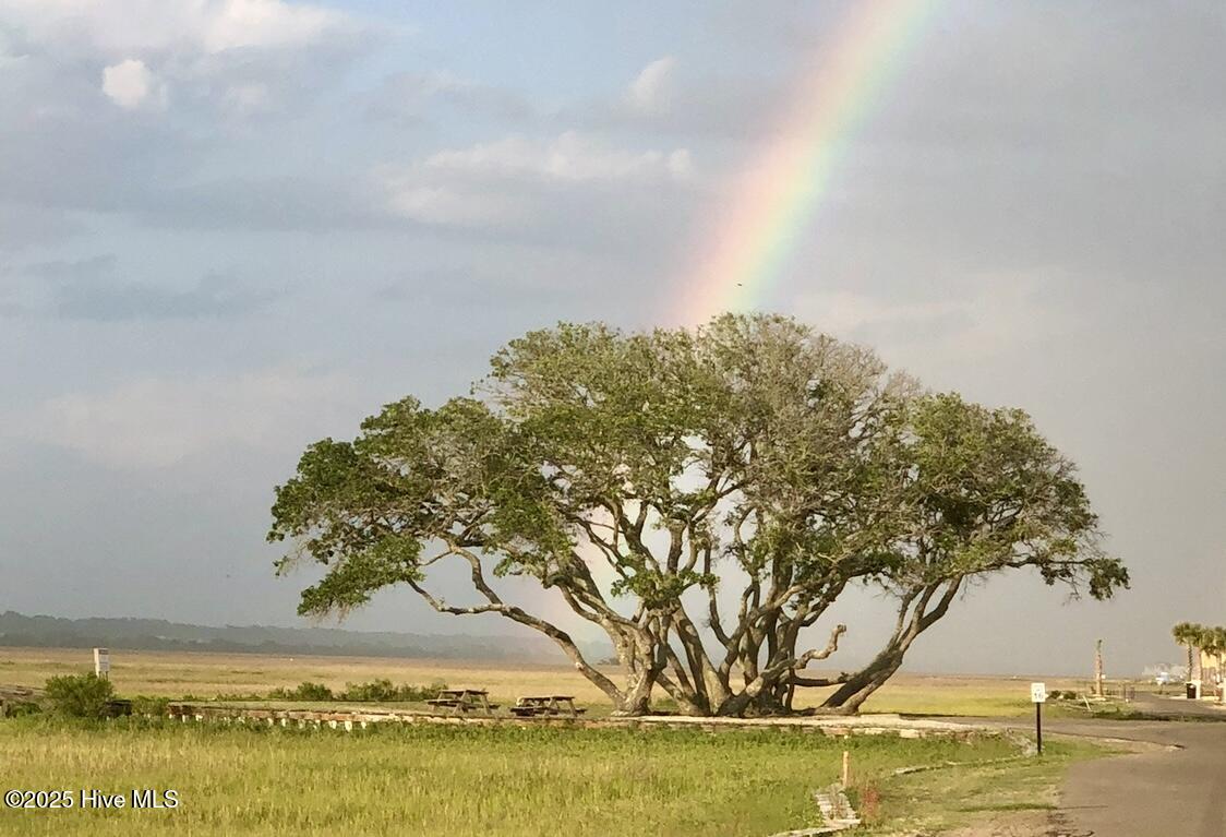 100483878 | Photo 19