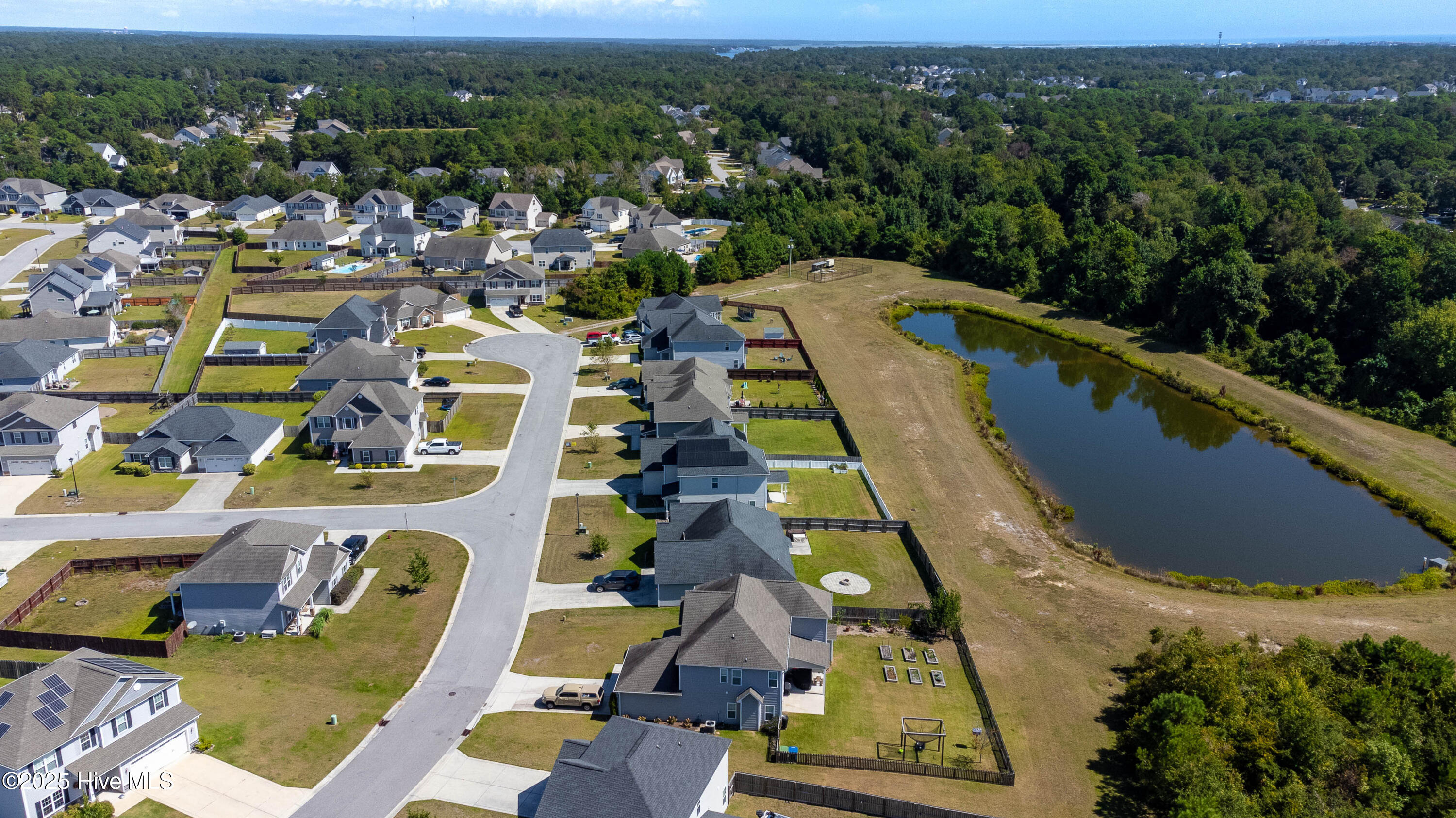 100528523 | Photo 50