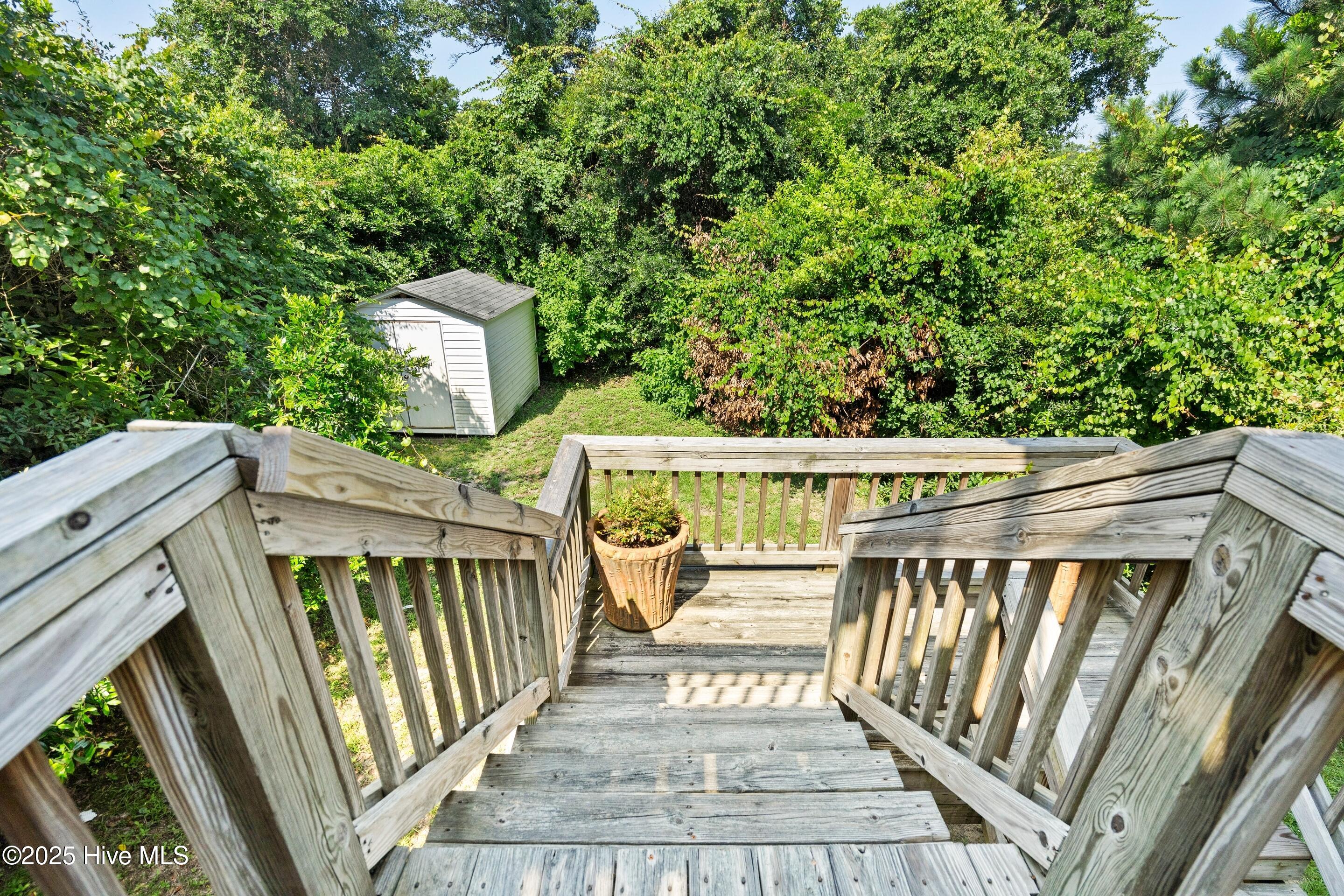 100517564 | Photo 40