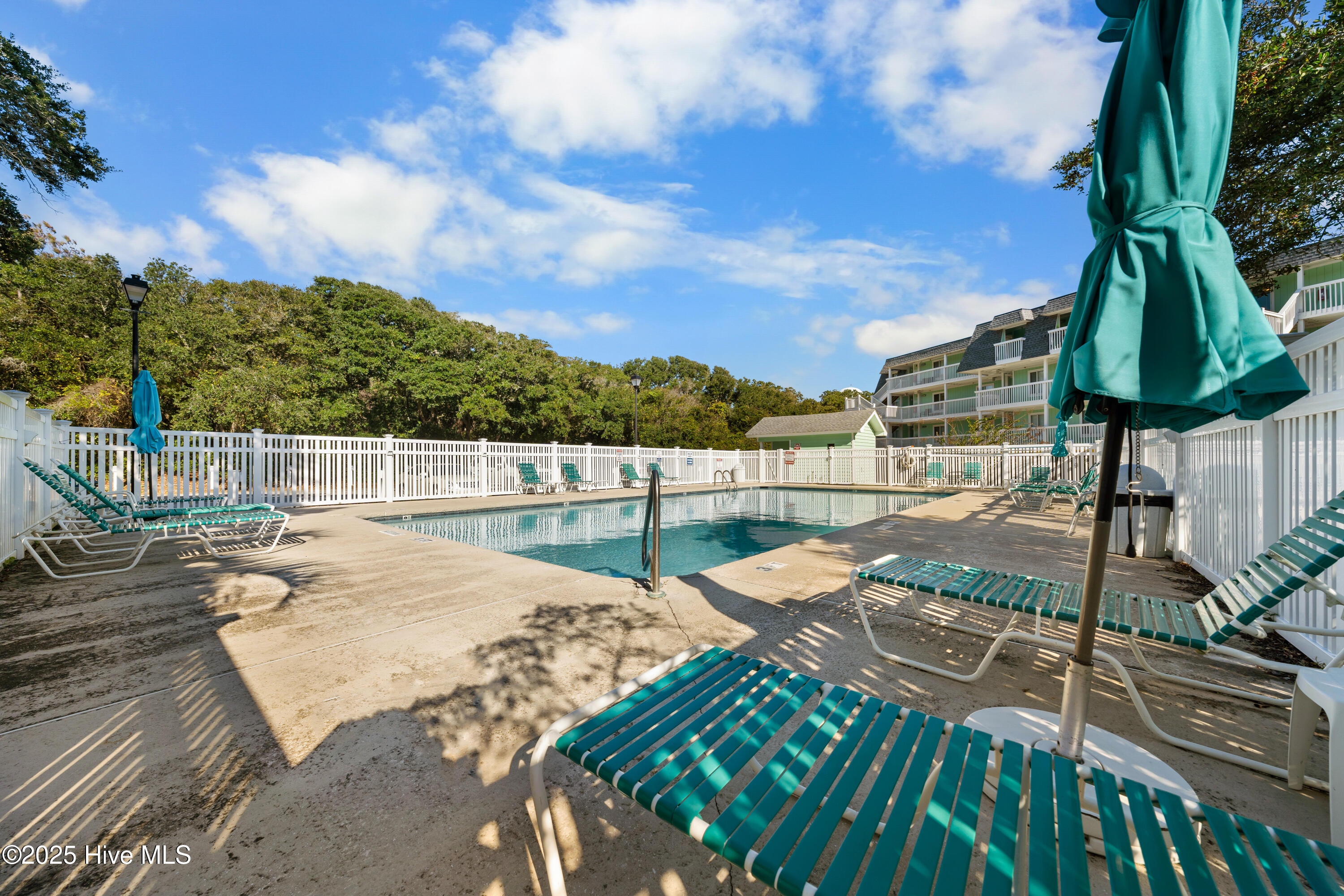 100536900 | Photo 69