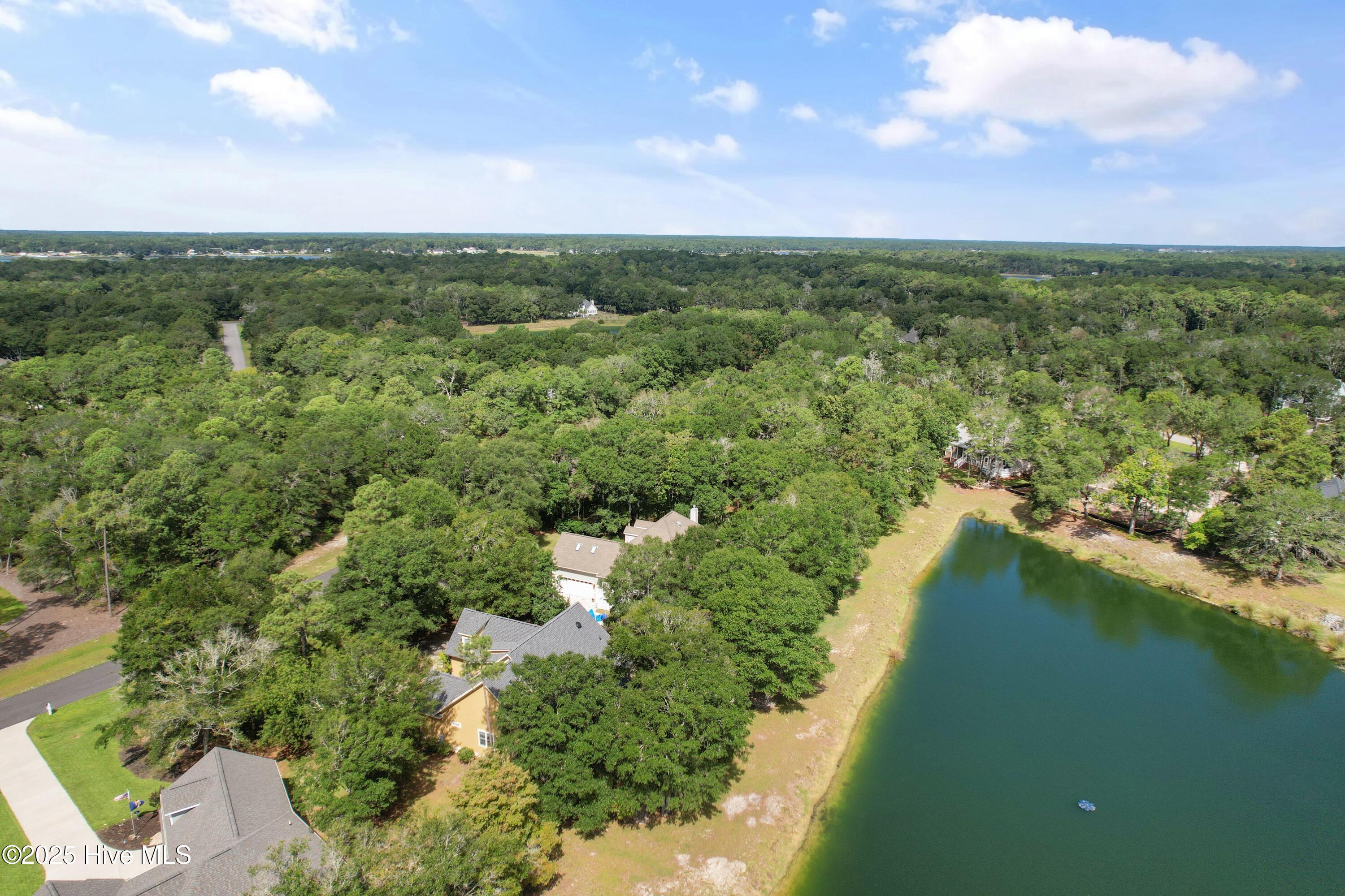 100528627 | Photo 53