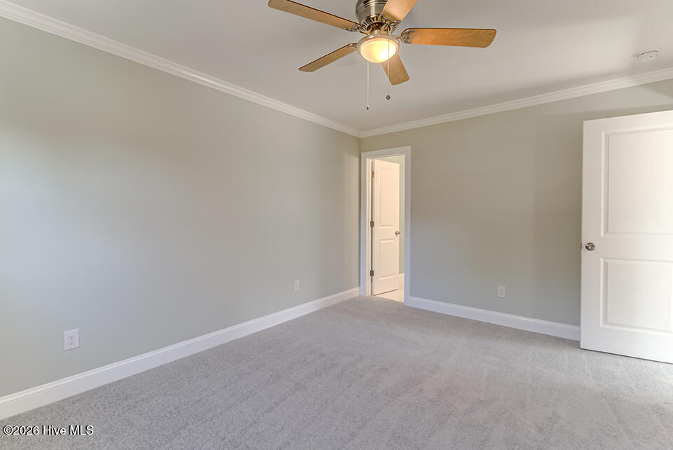 100558677 | Photo 45