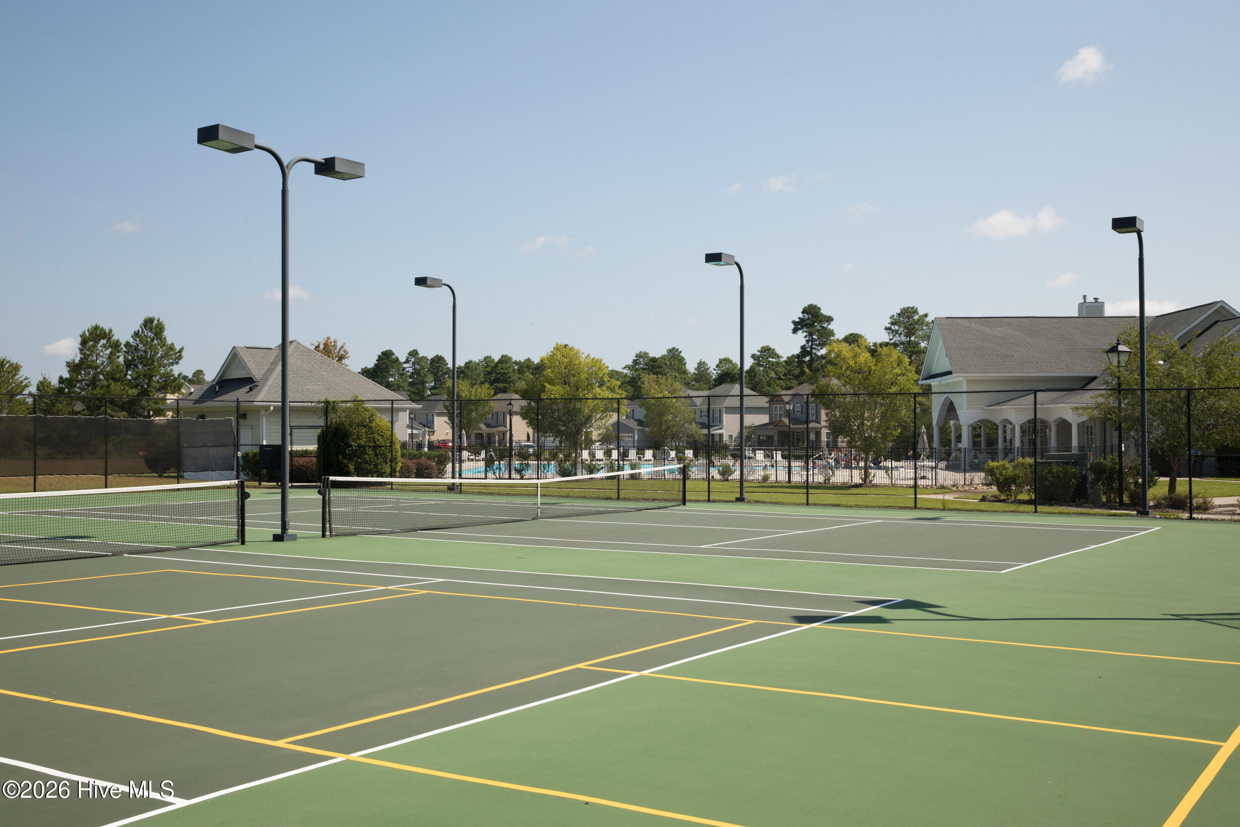 100566702 | Photo 51