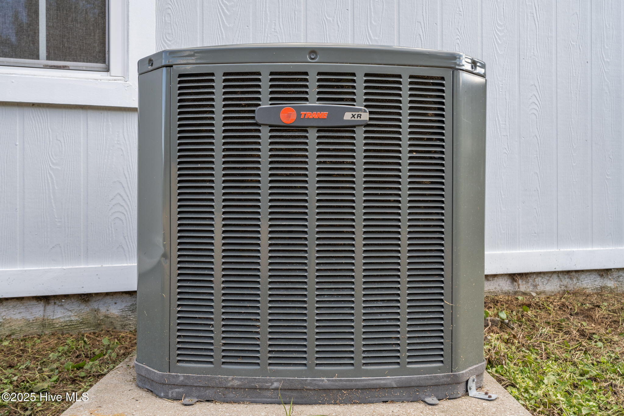 100545189 | Photo 53