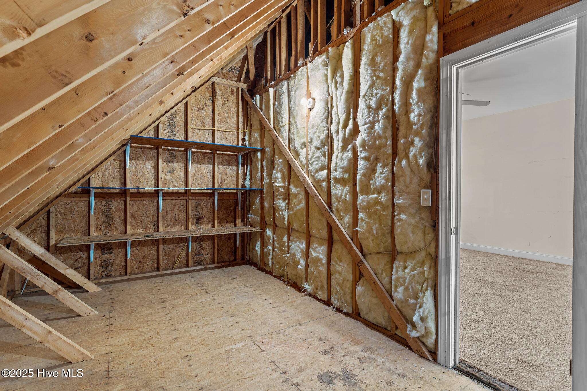 100538095 | Photo 41