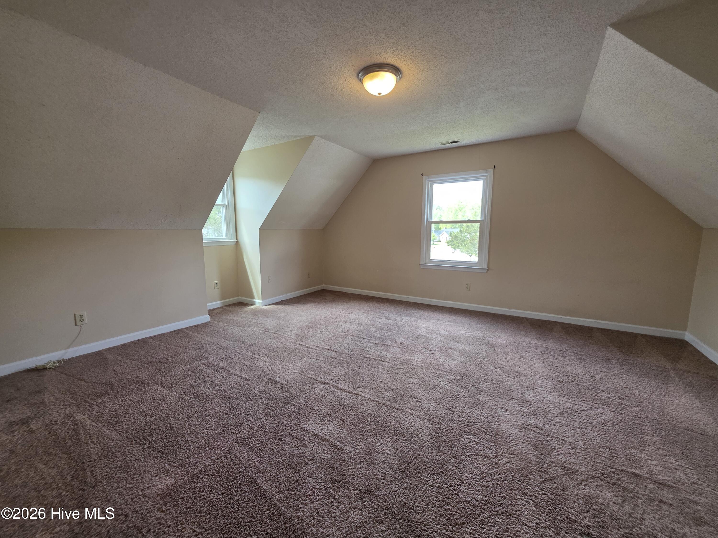 100570151 | Photo 15