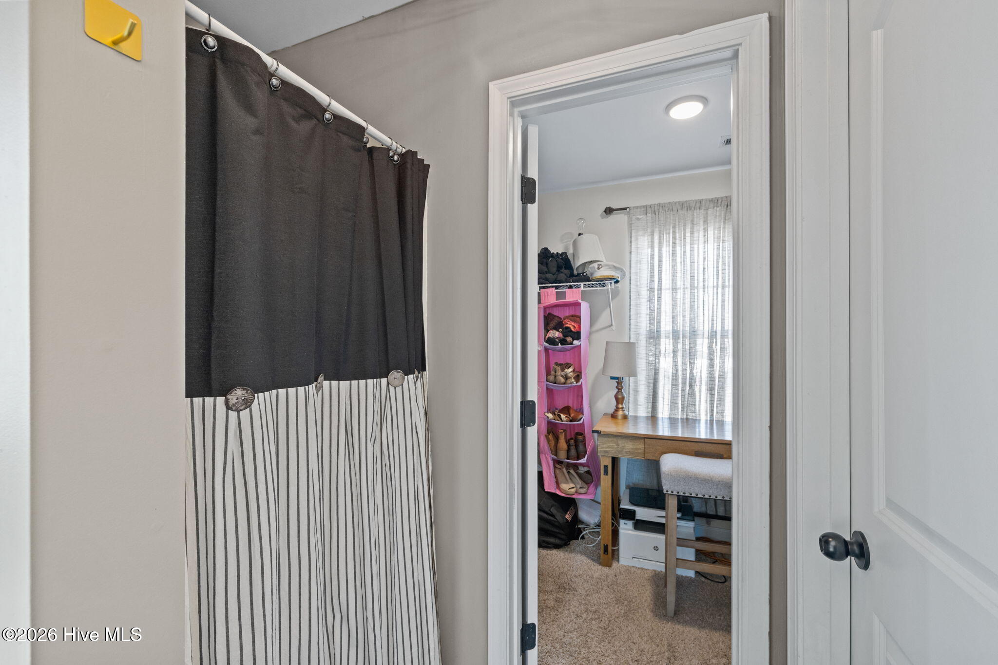 100558227 | Photo 23