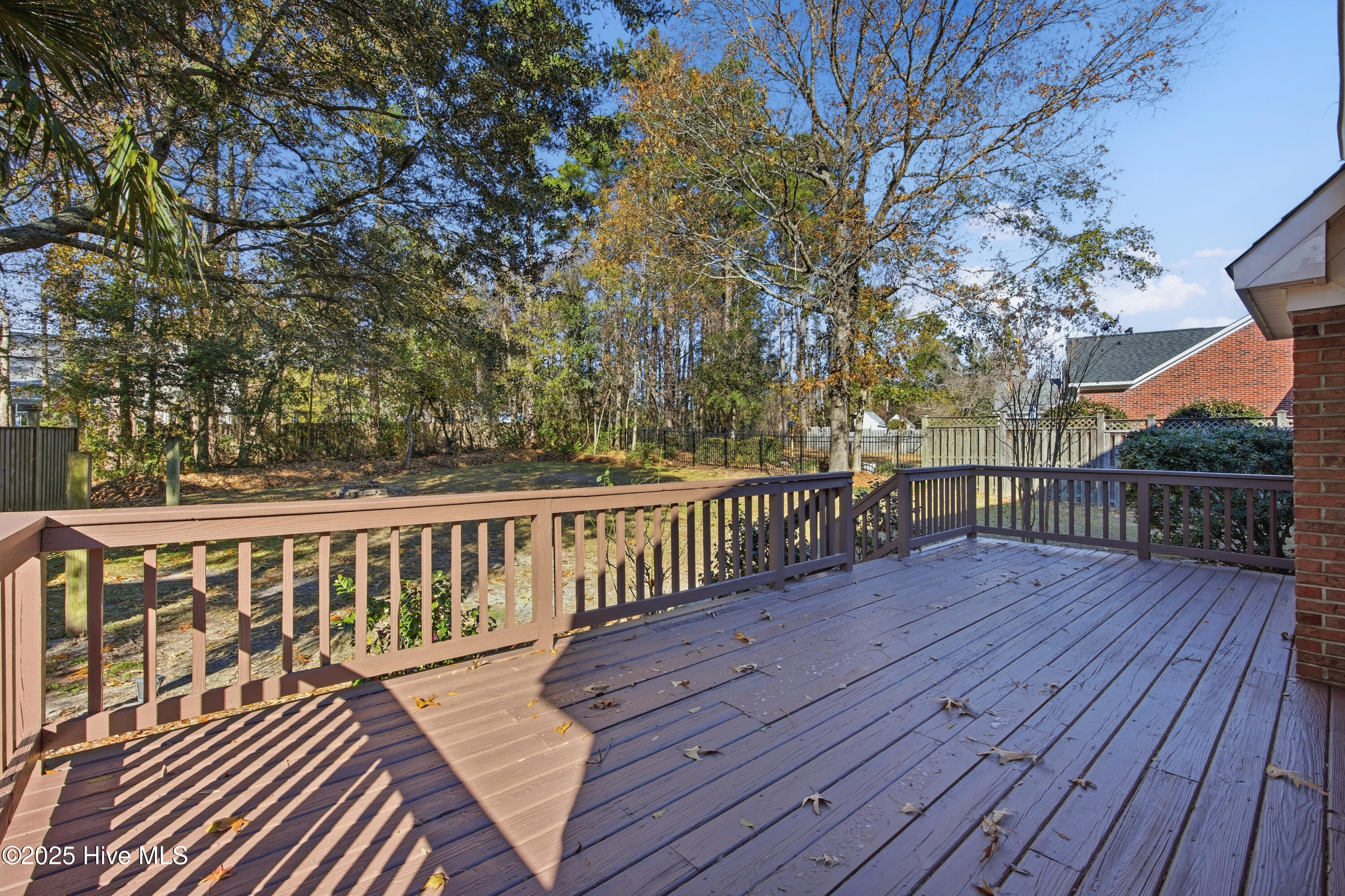 100545806 | Photo 48