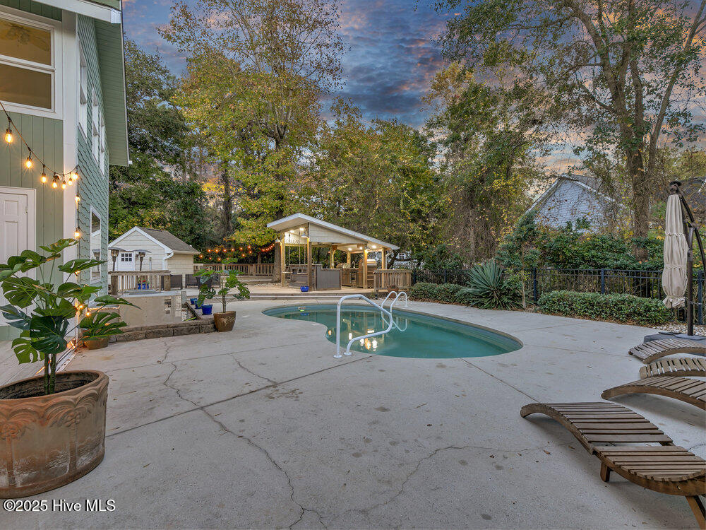 100542503 | Photo 66