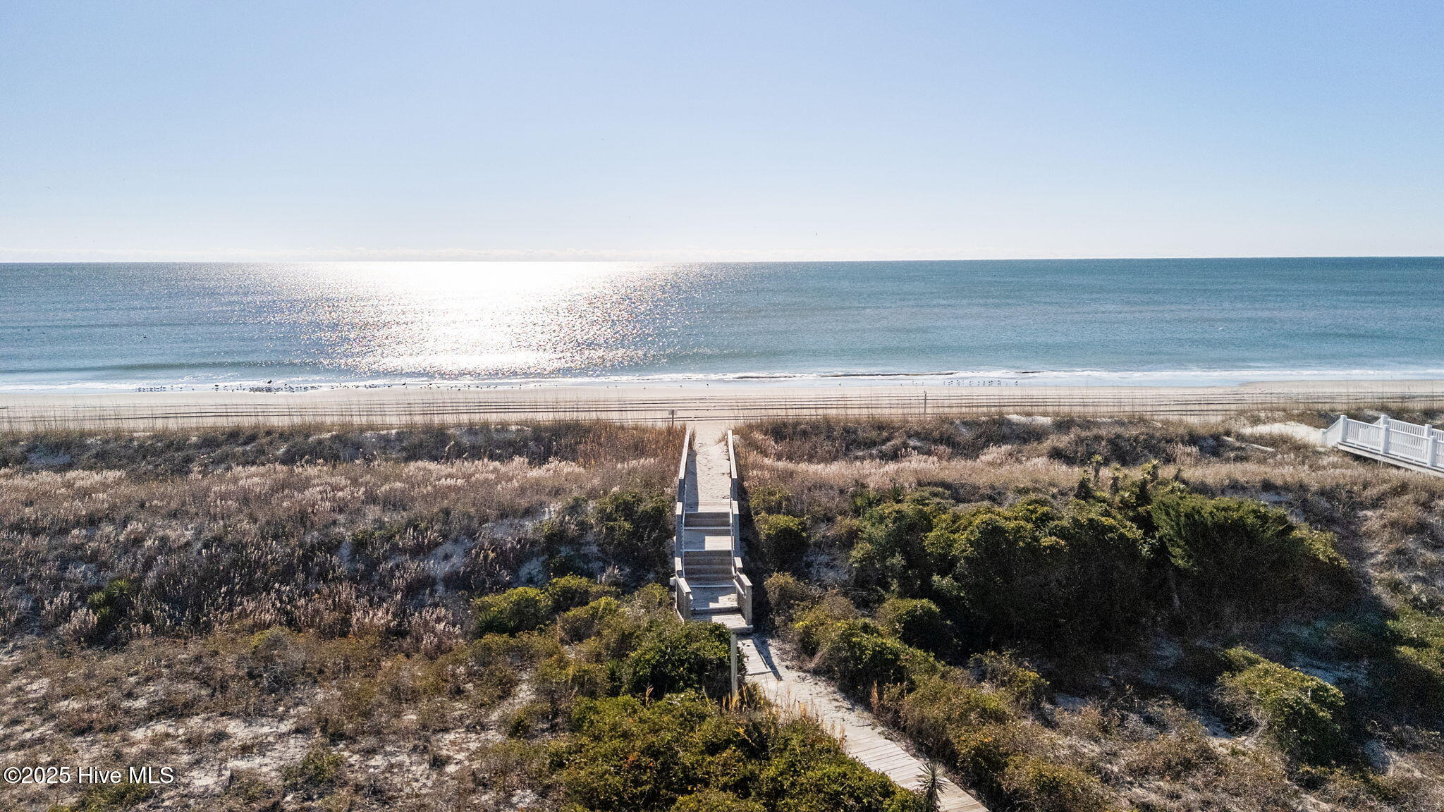 100558494 | Photo 25