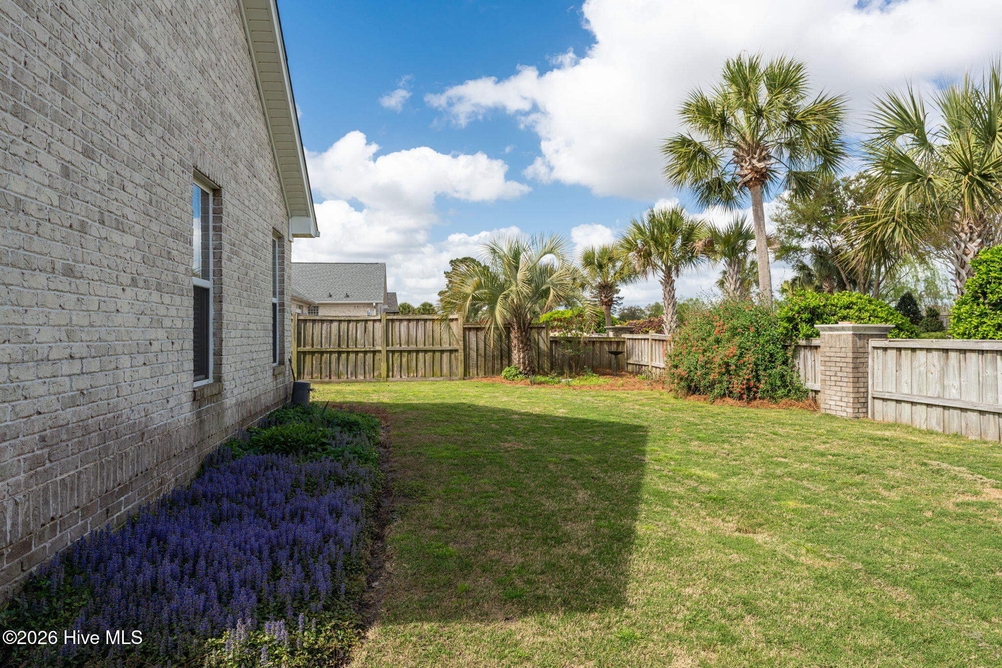 100564591 | Photo 31