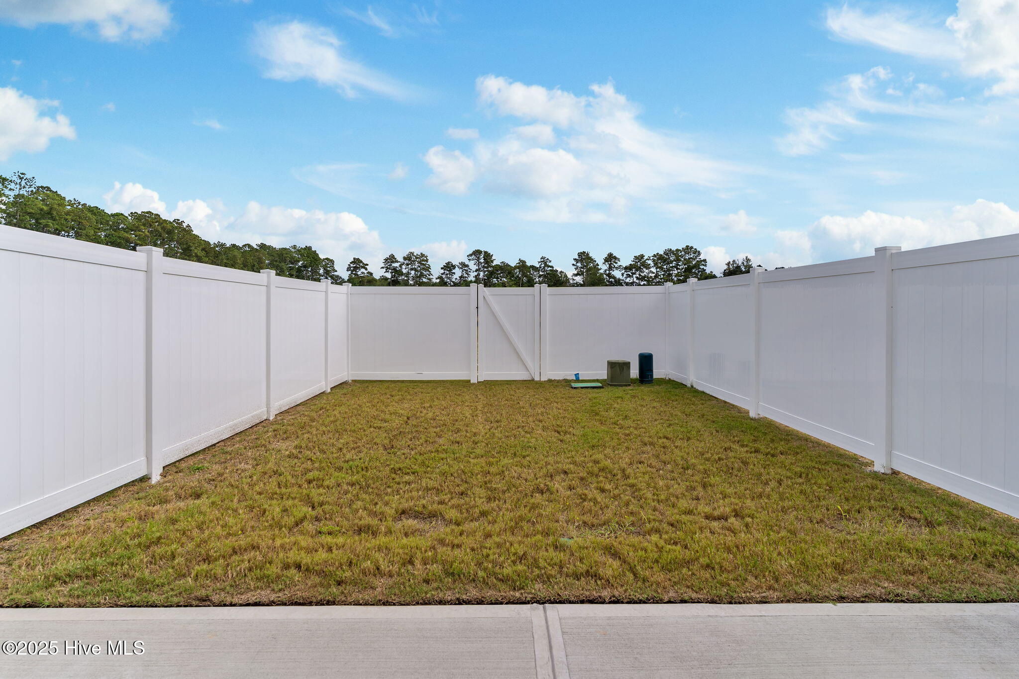 100517036 | Photo 15