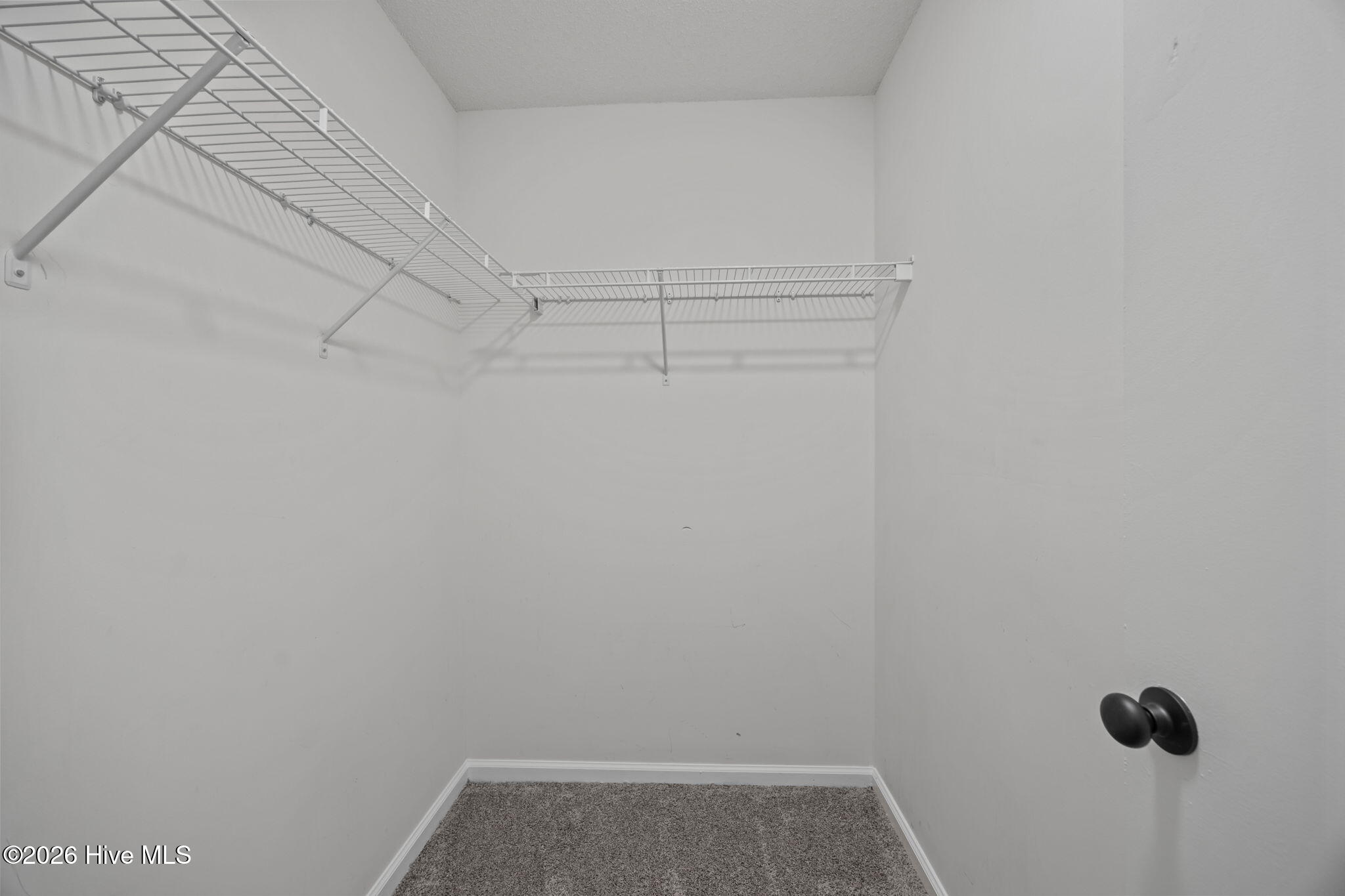 100554029 | Photo 18