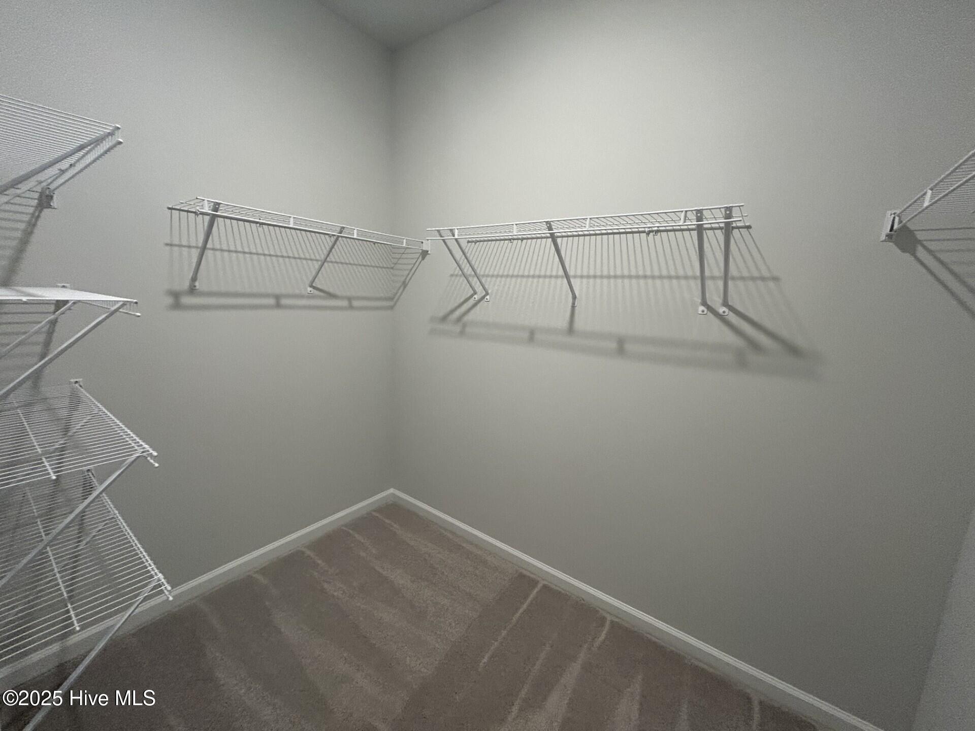 100513177 | Photo 17