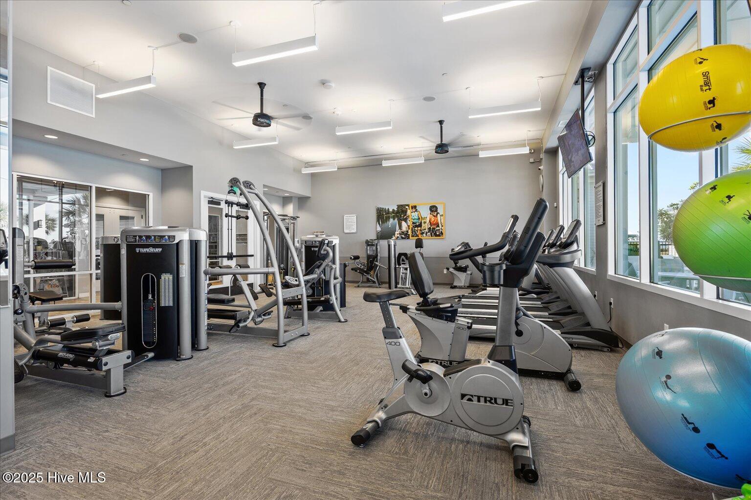 100513881 | Photo 68