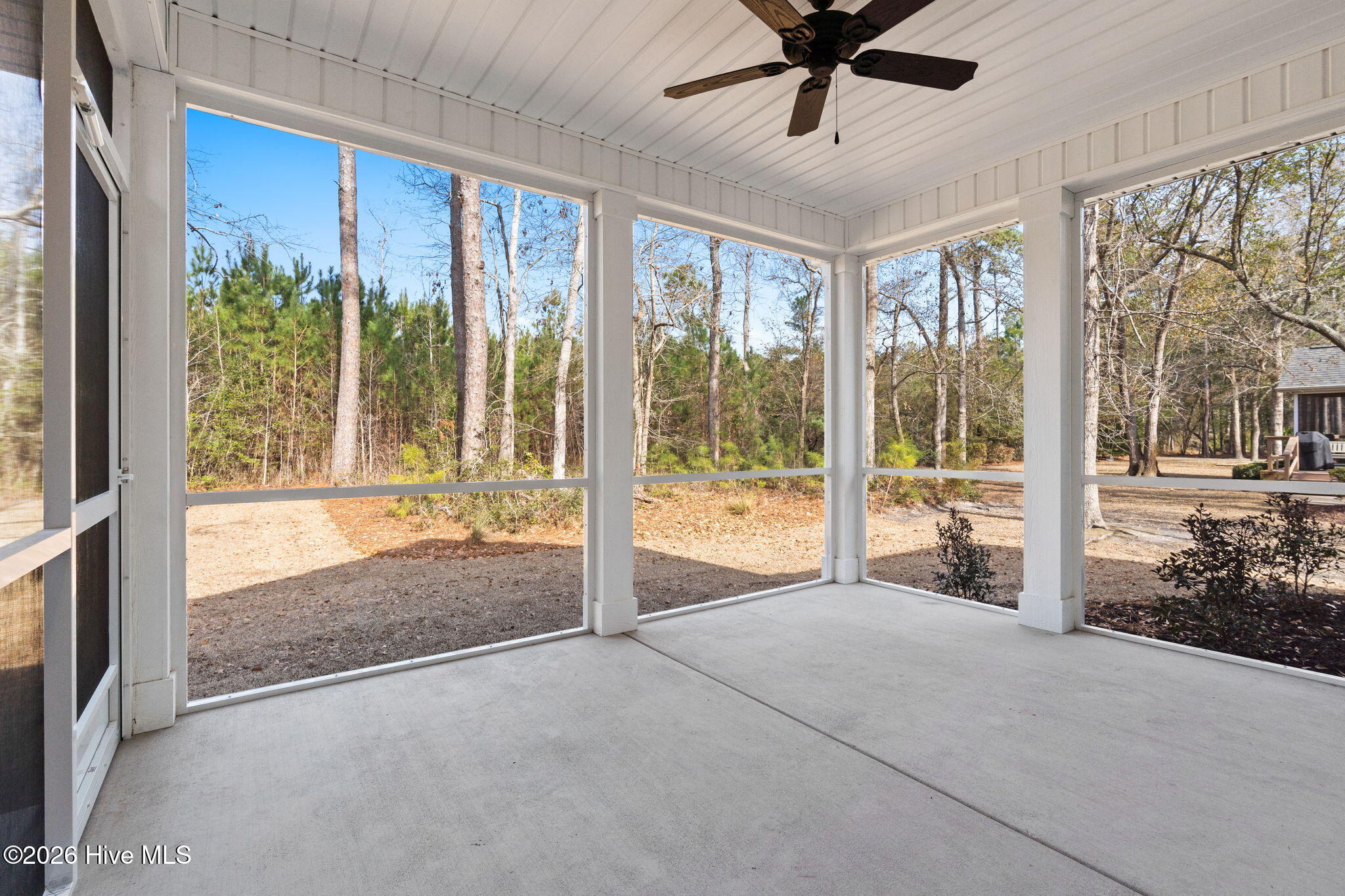 100537582 | Photo 34