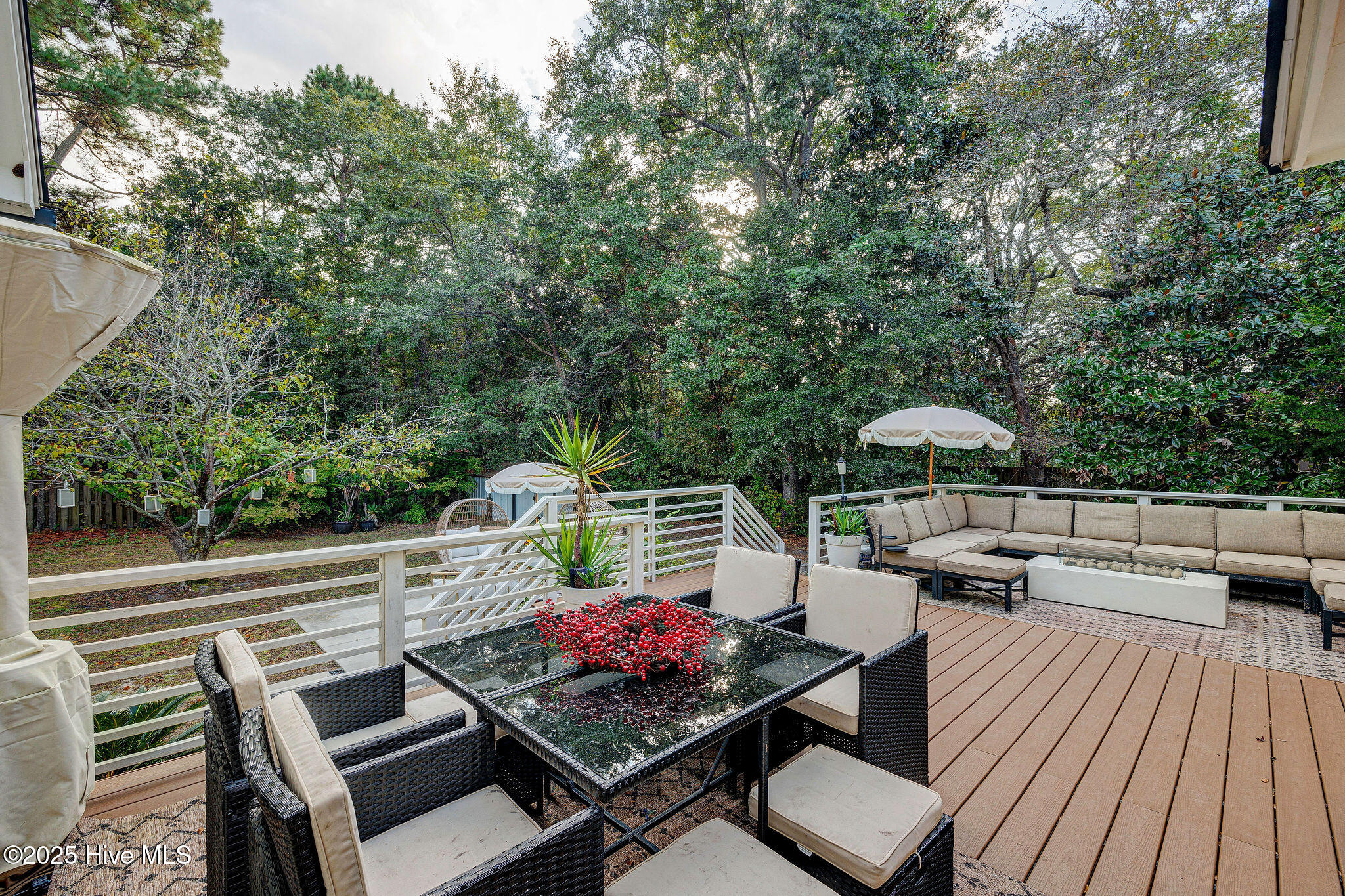 100534059 | Photo 56