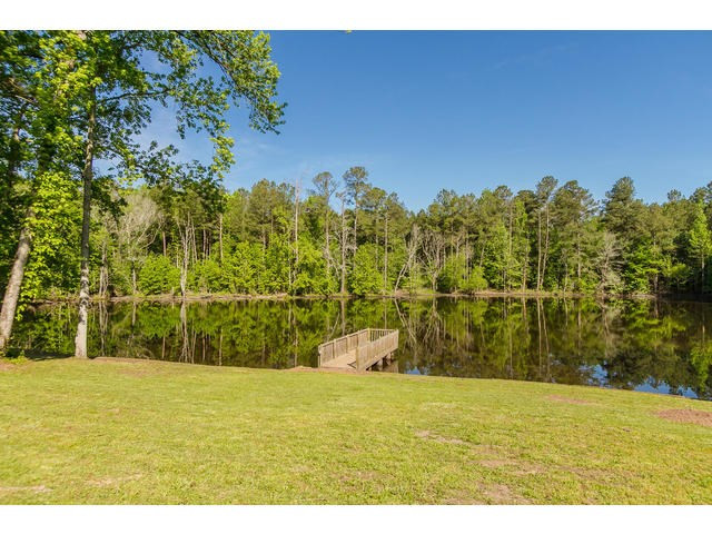Dock for the Pond