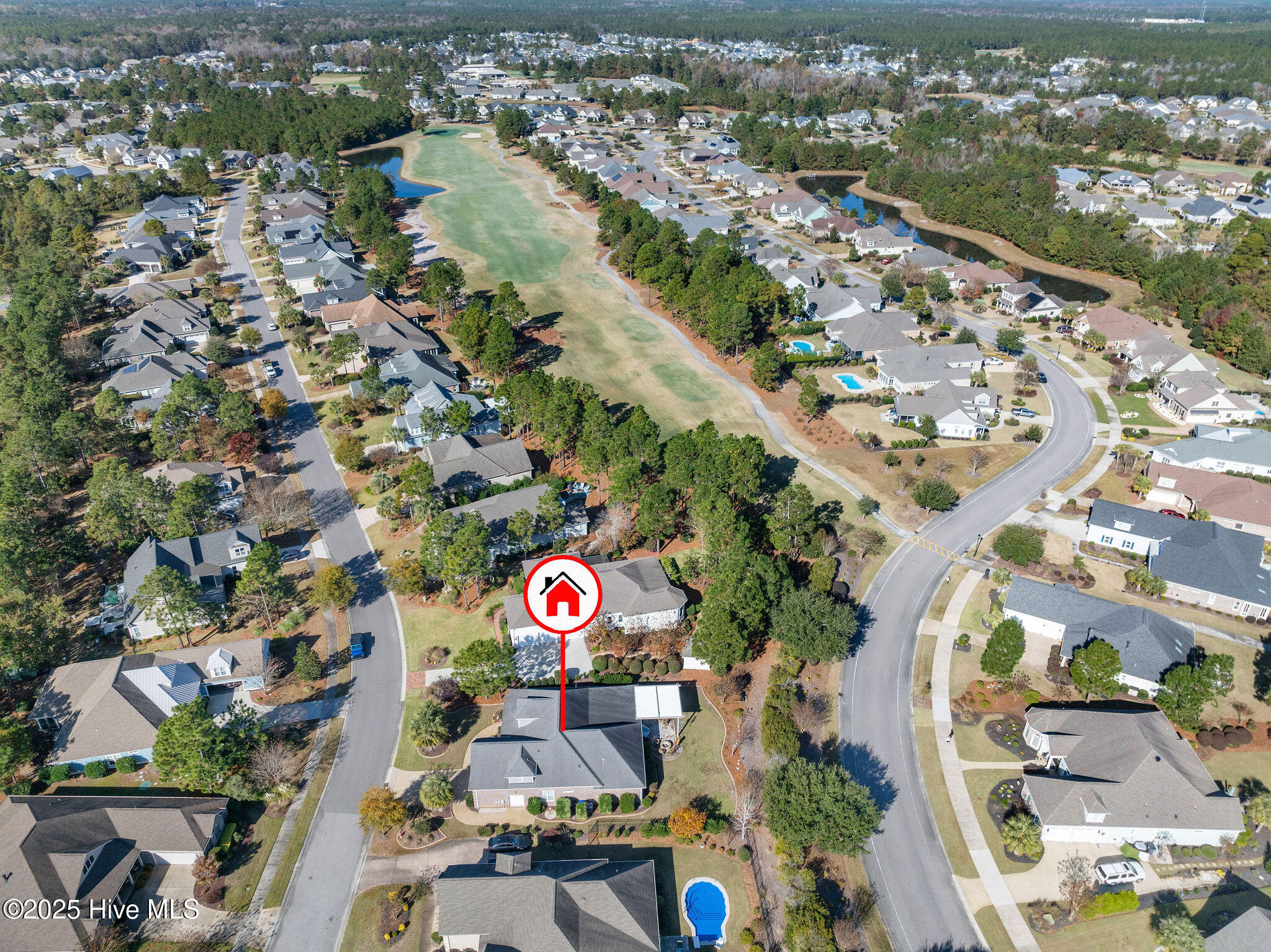 100541913 | Photo 84