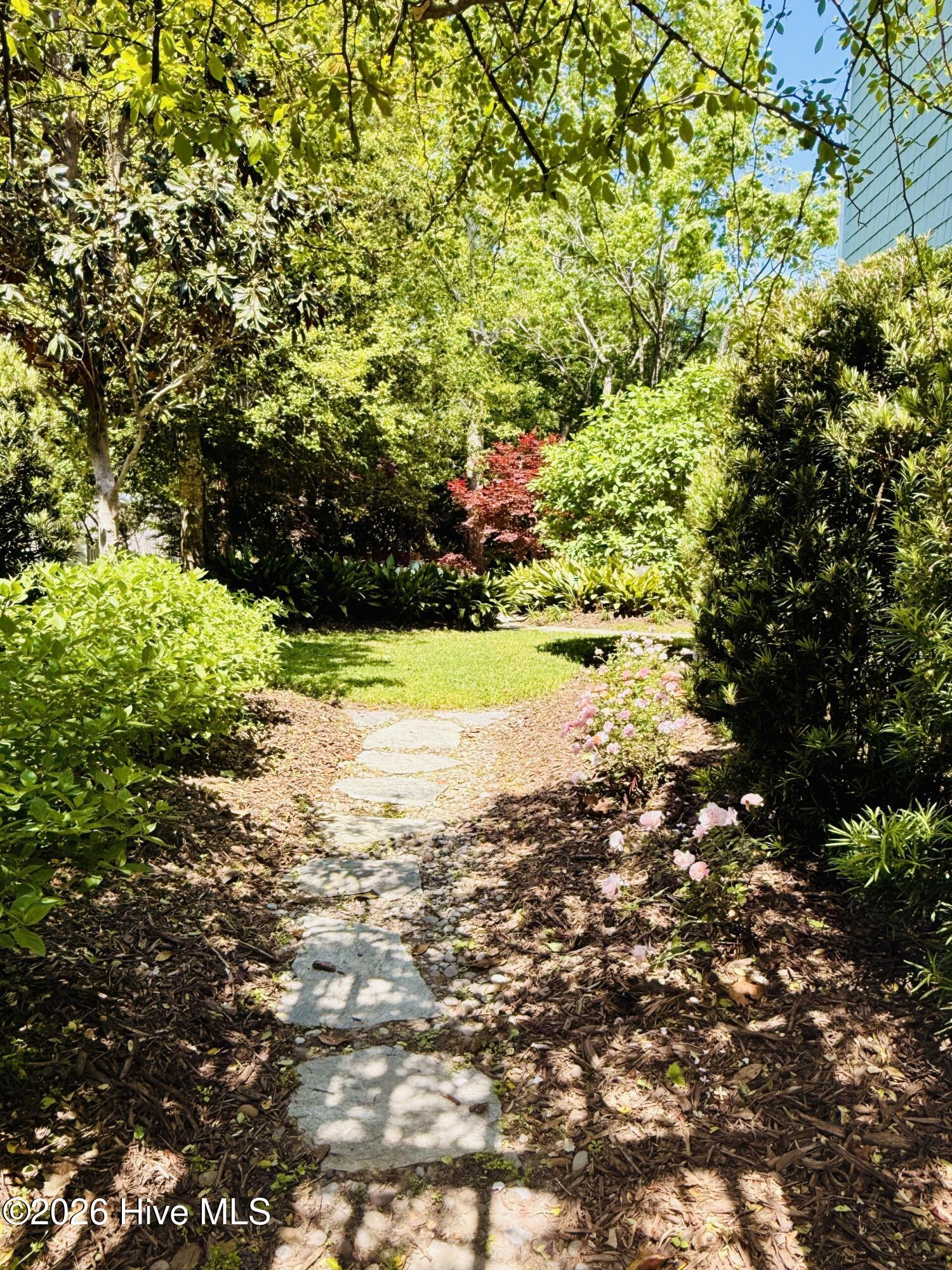 100569921 | Photo 44