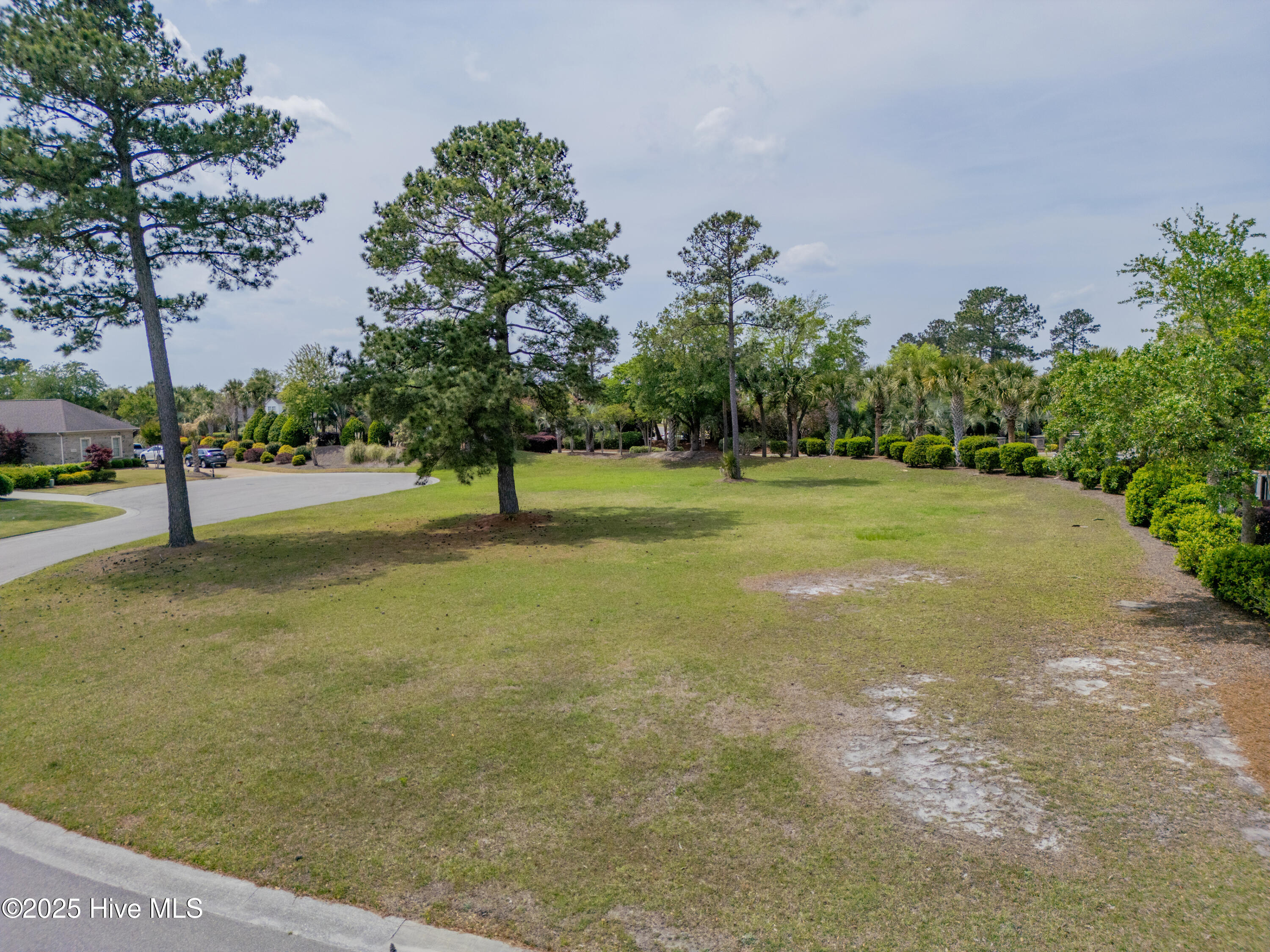 100501498 | Photo 27