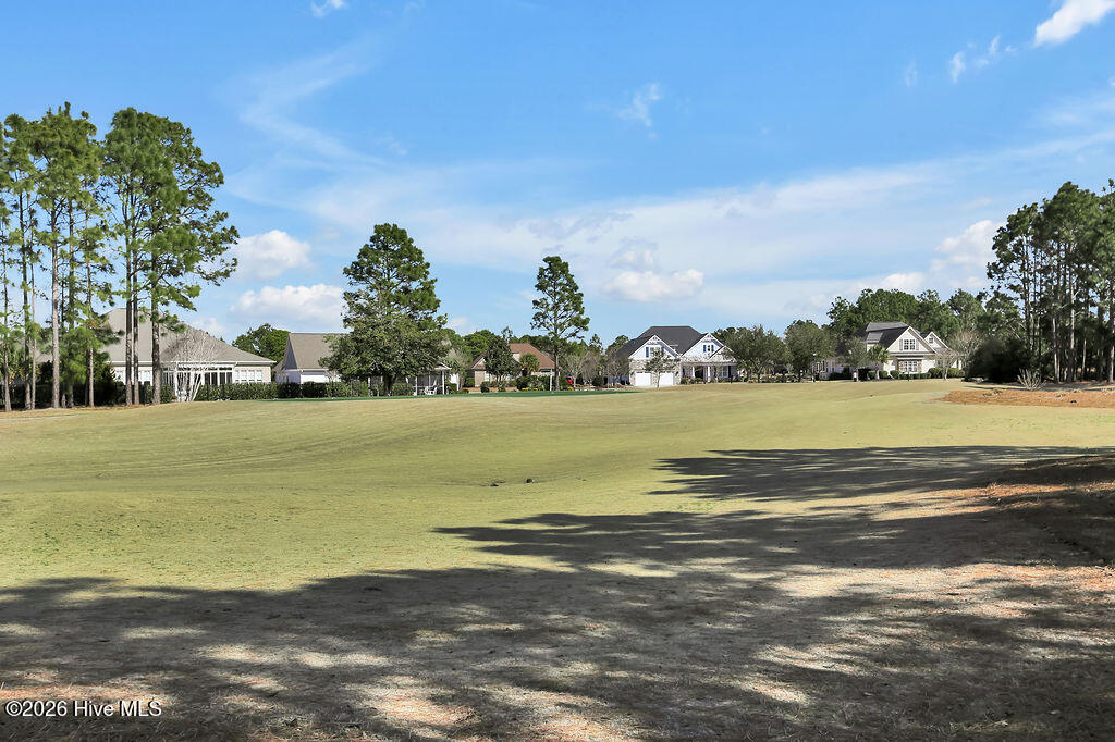 100554017 | Photo 40