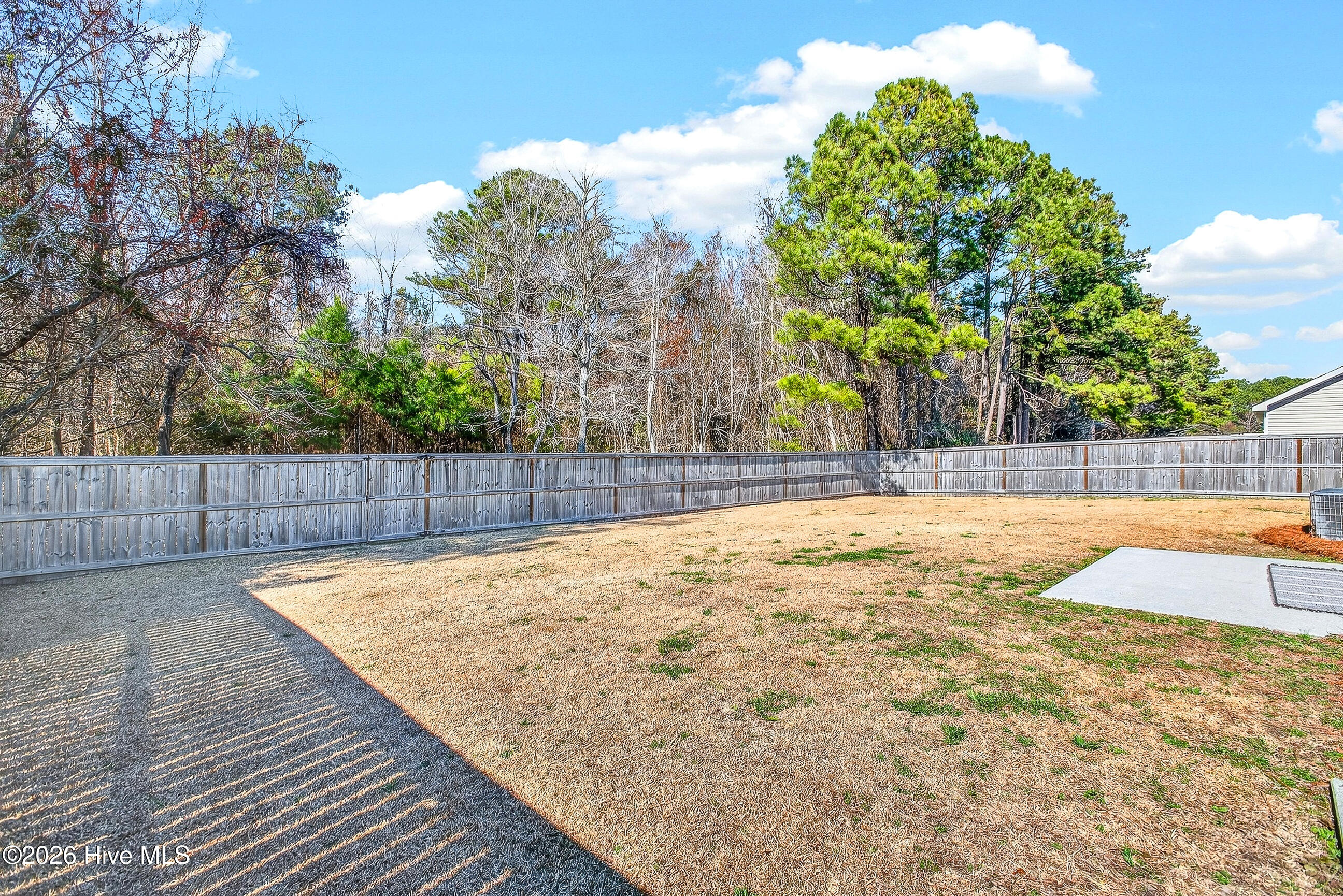 100557128 | Photo 22