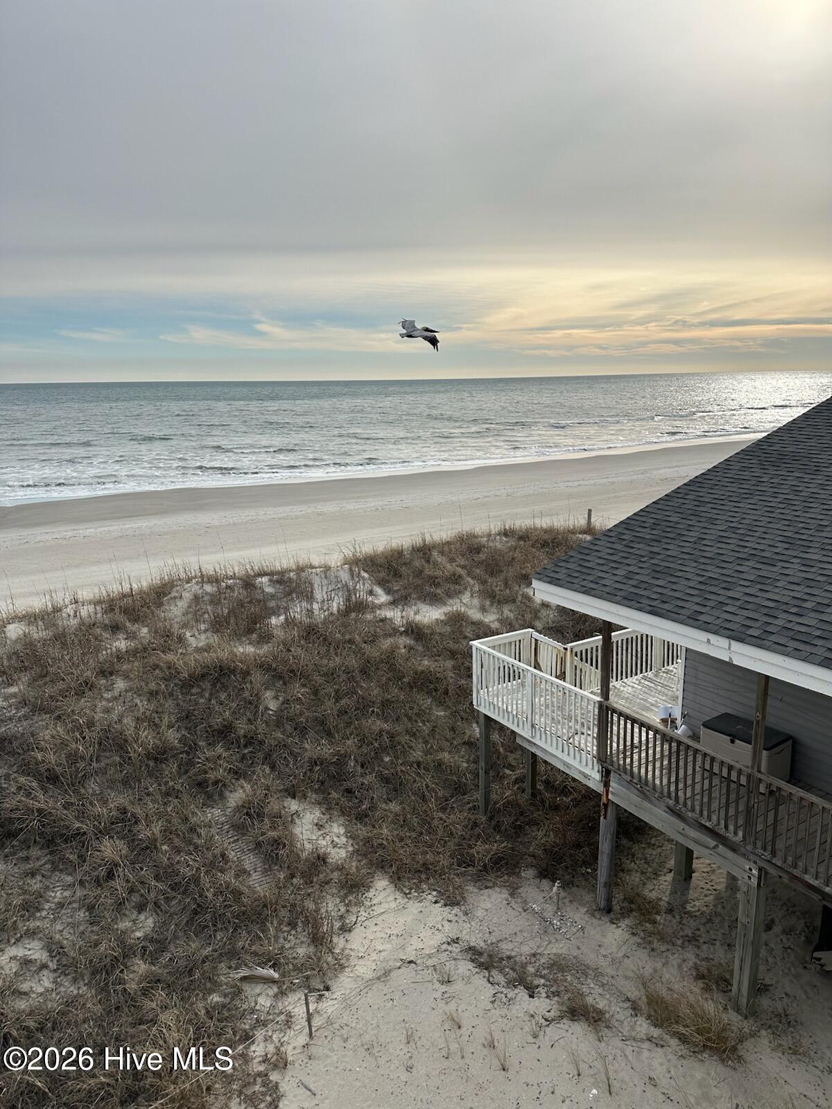 100556591 | Photo 51