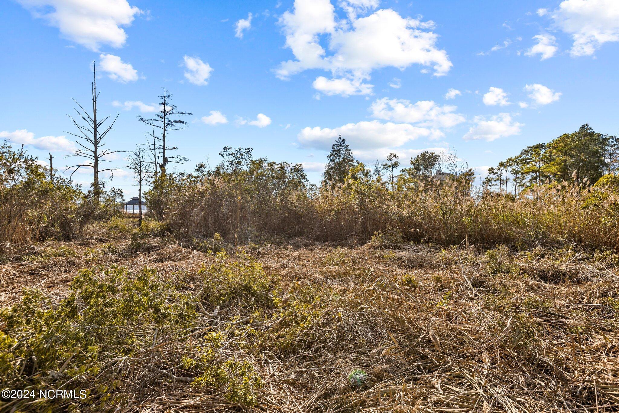 006 looking toward river
