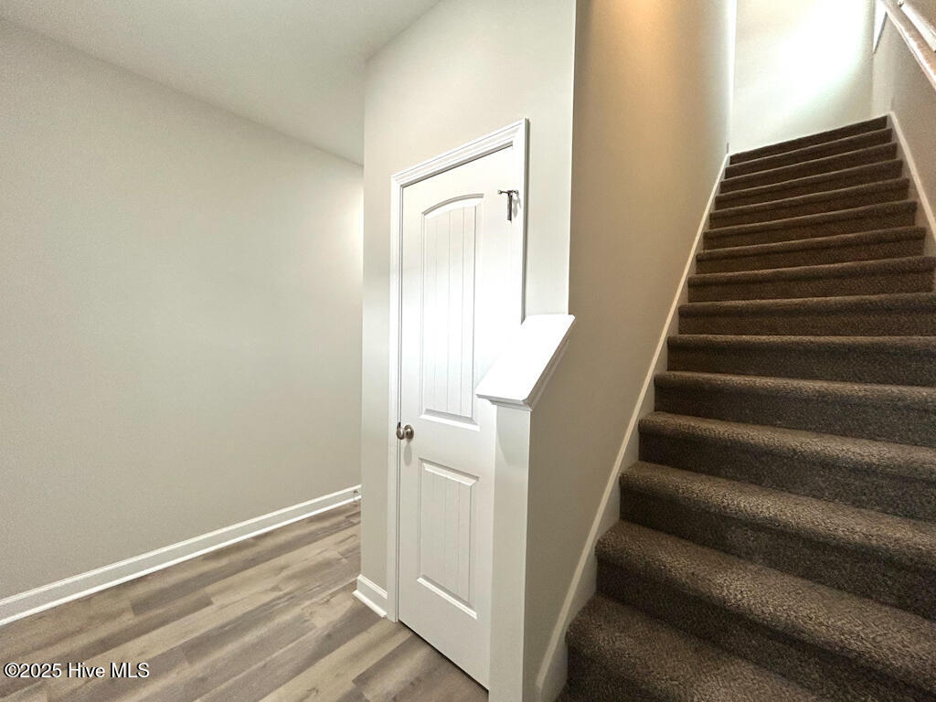 100538843 | Photo 25