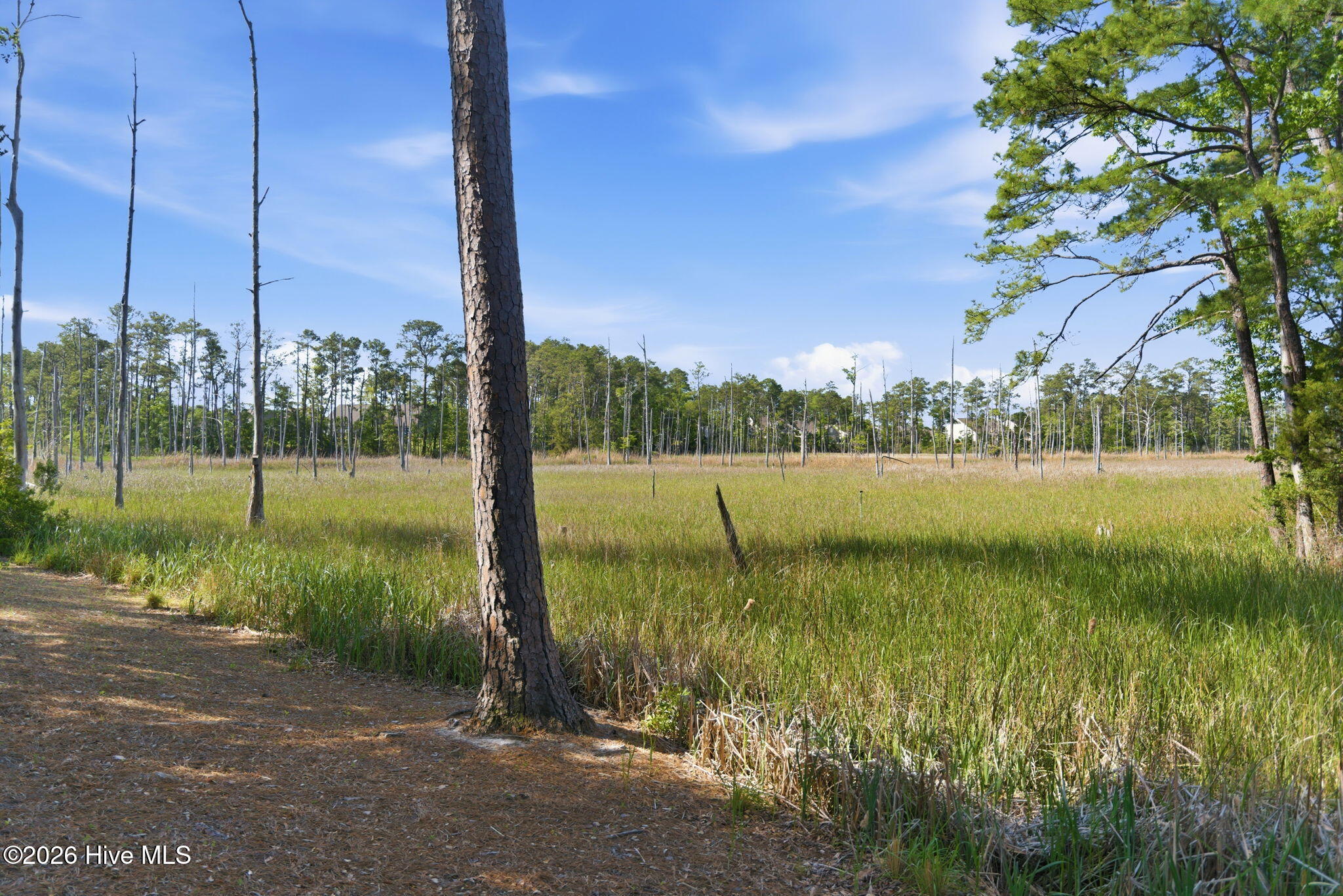 100569410 | Photo 55