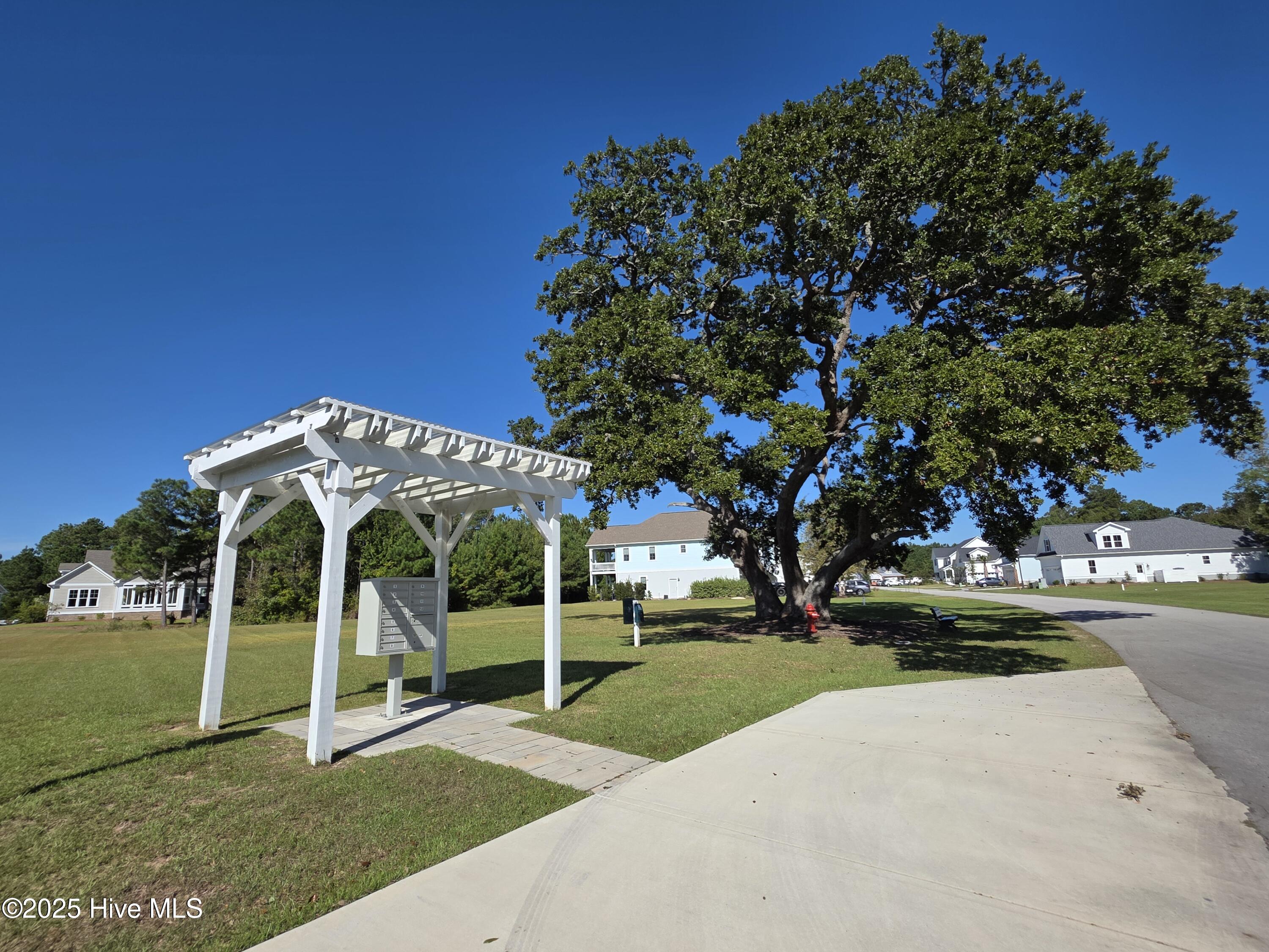 100564274 | Photo 38