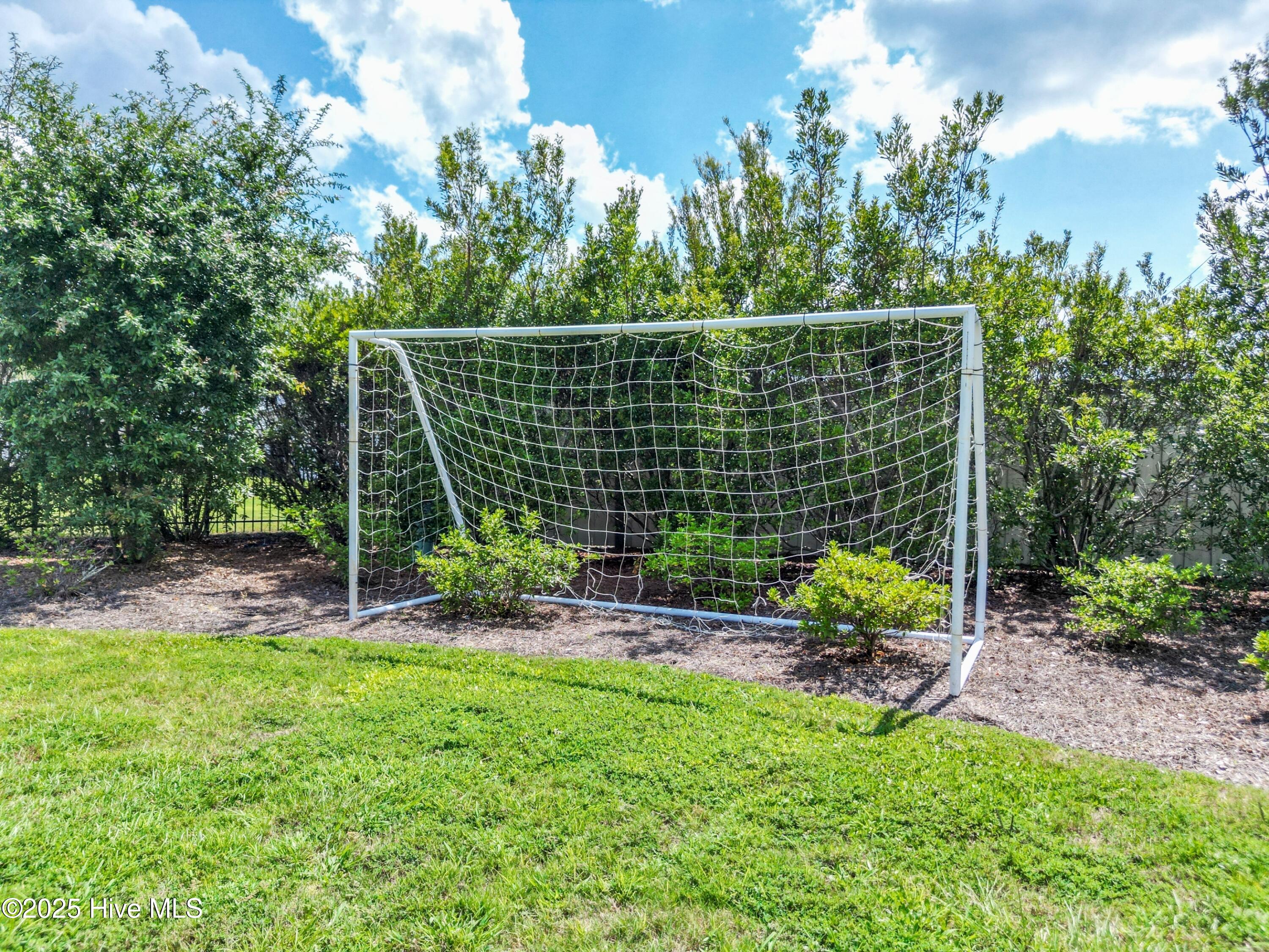 100527219 | Photo 73