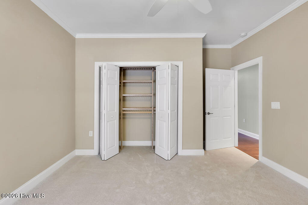 100548376 | Photo 33