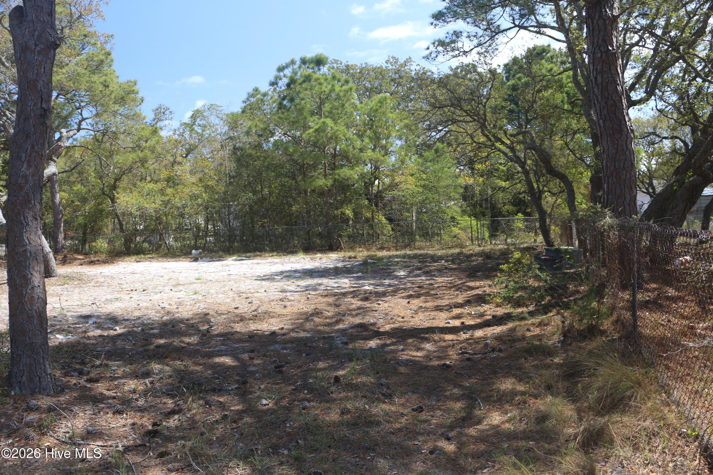 100566434 | Photo 10