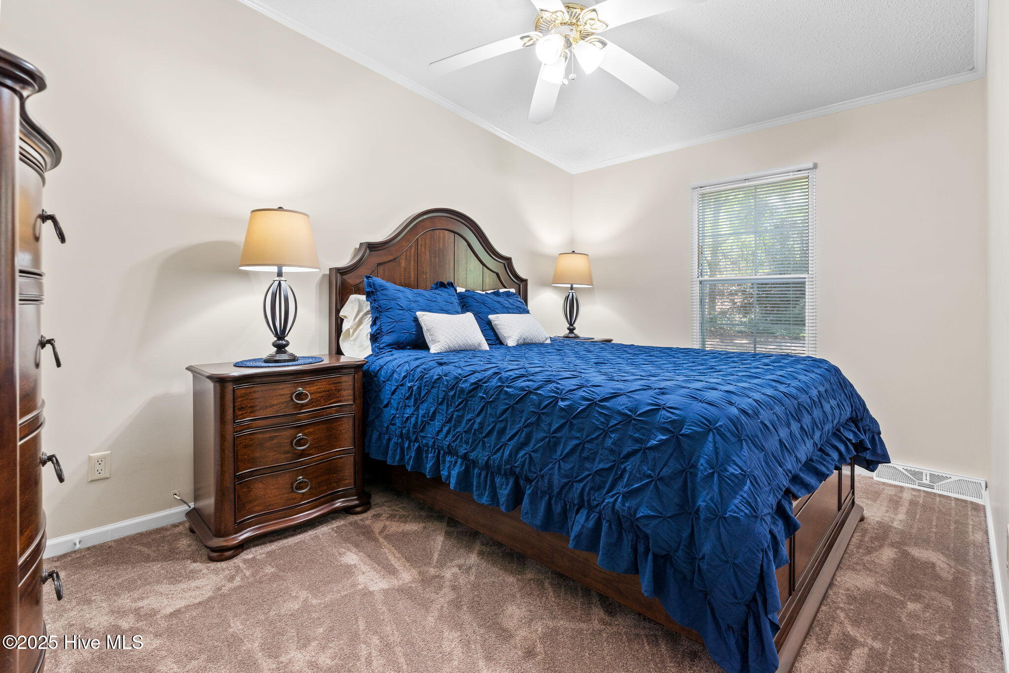 100515279 | Photo 38