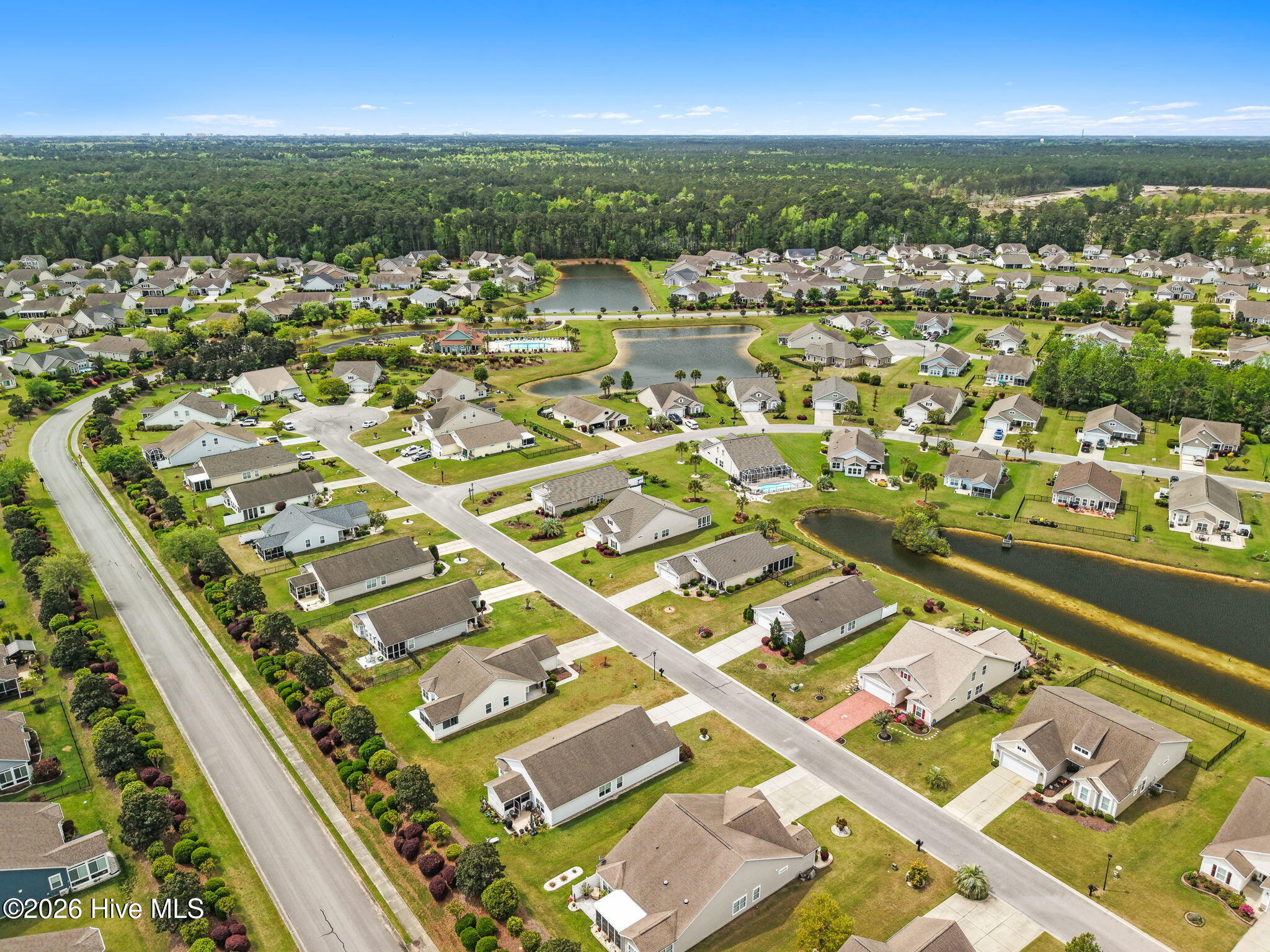 100565577 | Photo 46