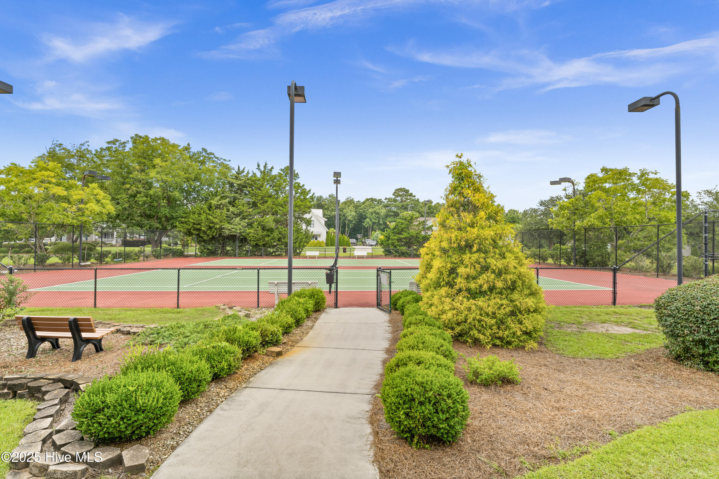 100527444 | Photo 14