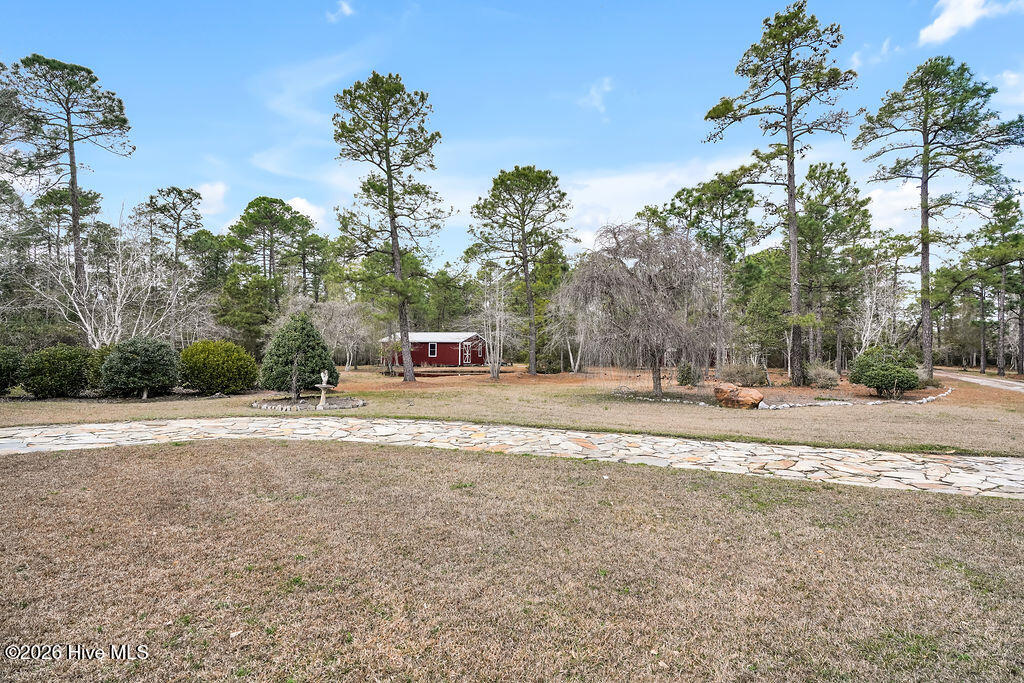 100560144 | Photo 40