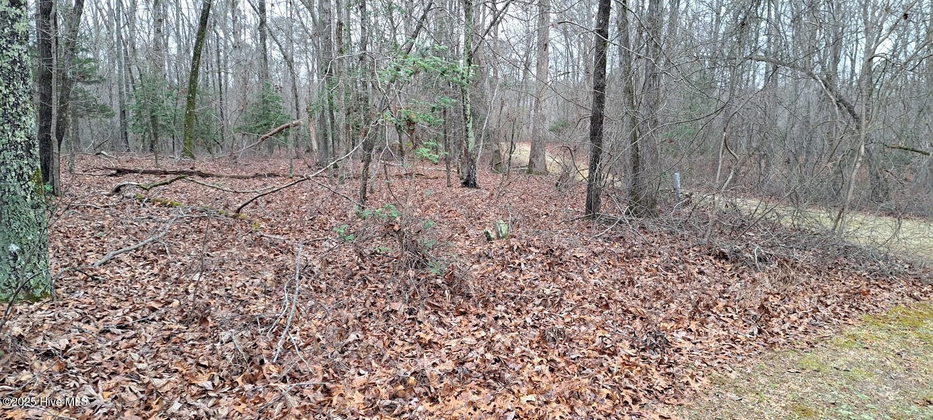 Homes for sale in Carthage, NC | 16b Winners Cir Ln, Carthage, NC 28327 | MLS# 100538316