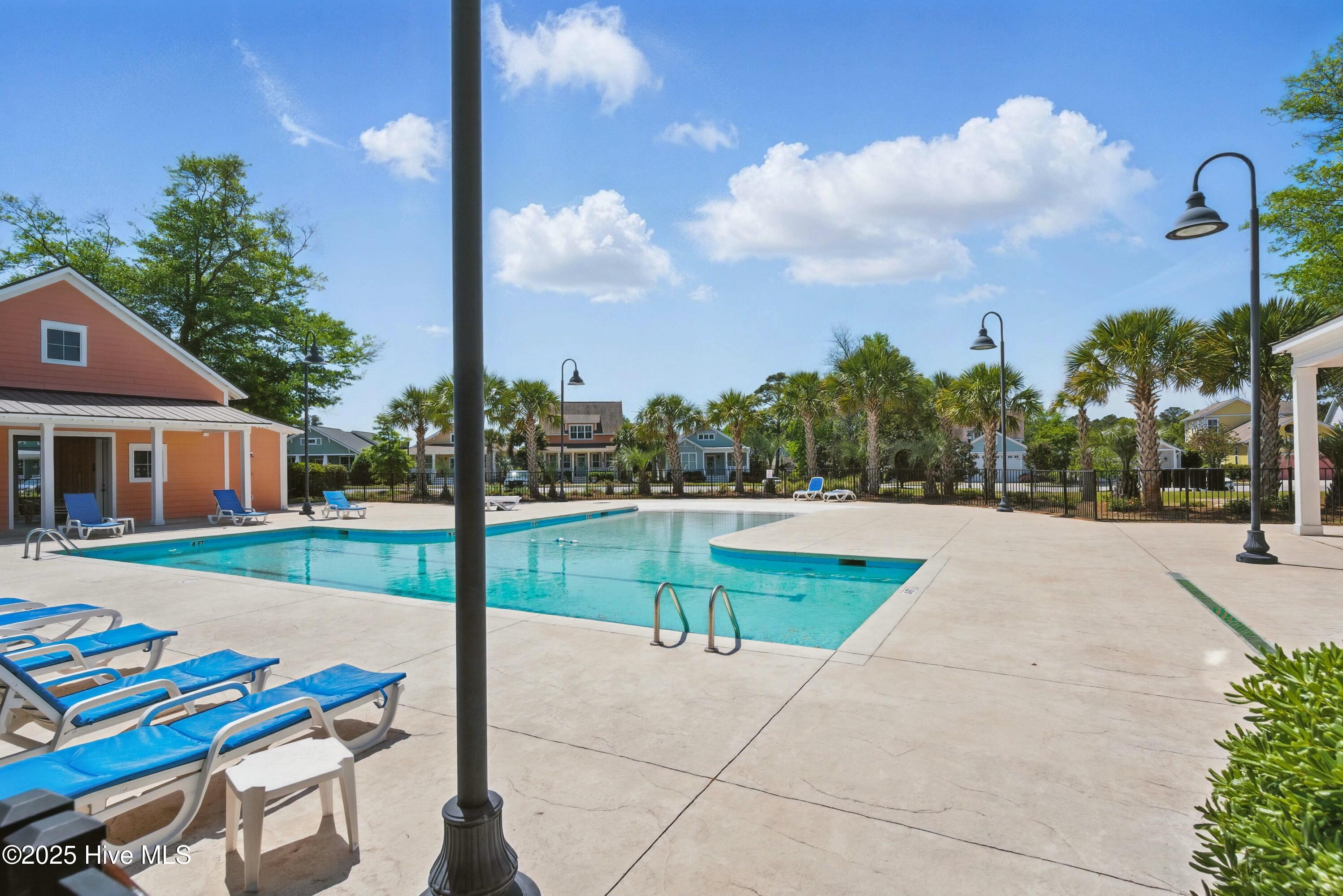 100503387 | Photo 64