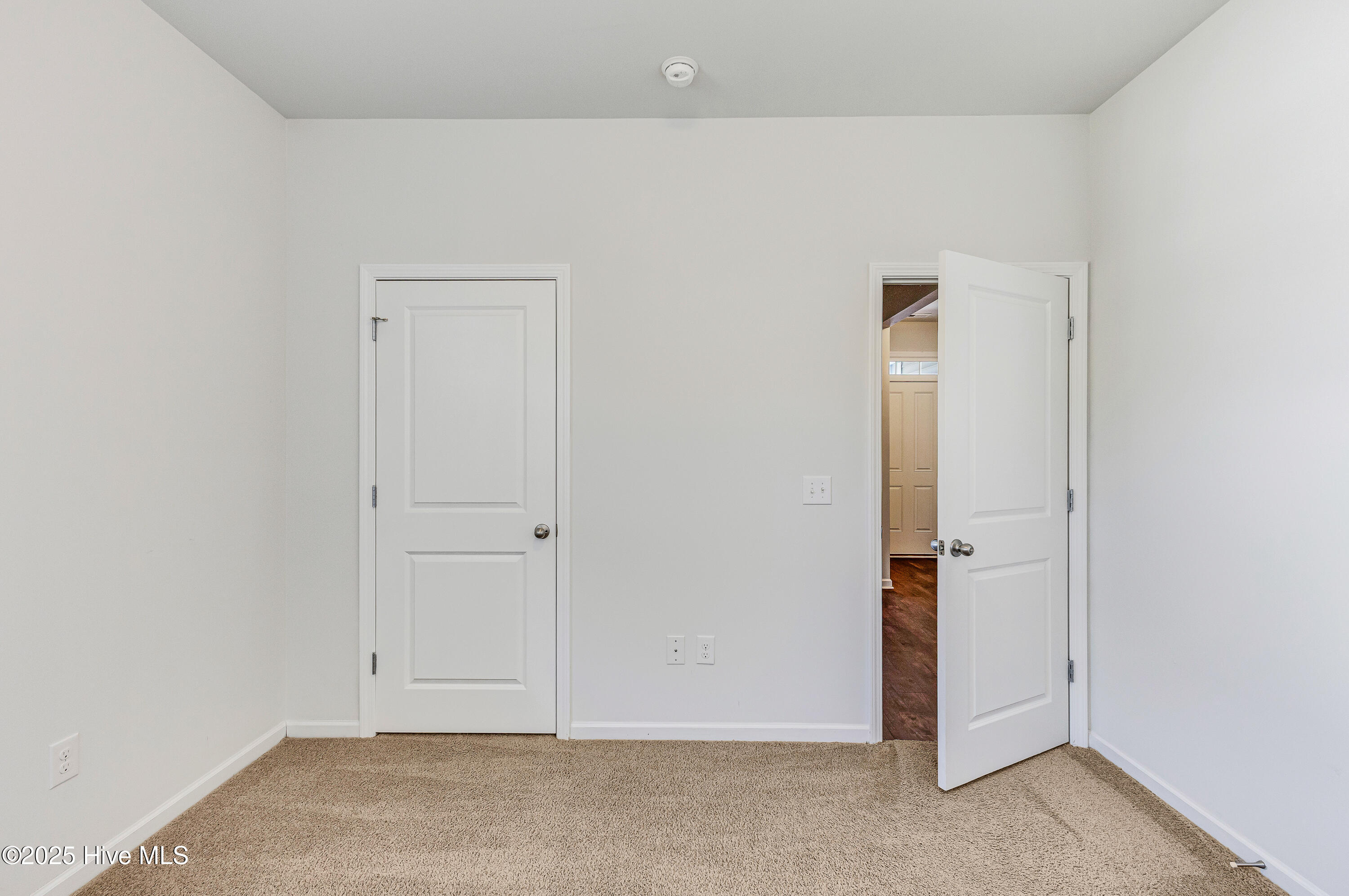 100538359 | Photo 19