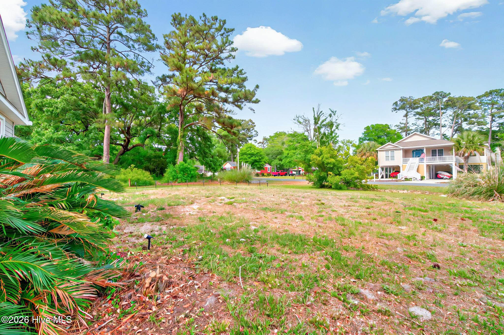 100556049 | Photo 63