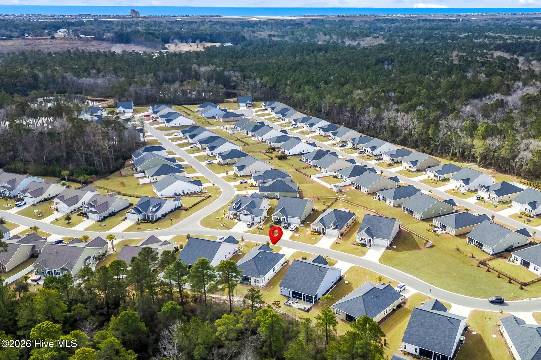 100557822 | Photo 44