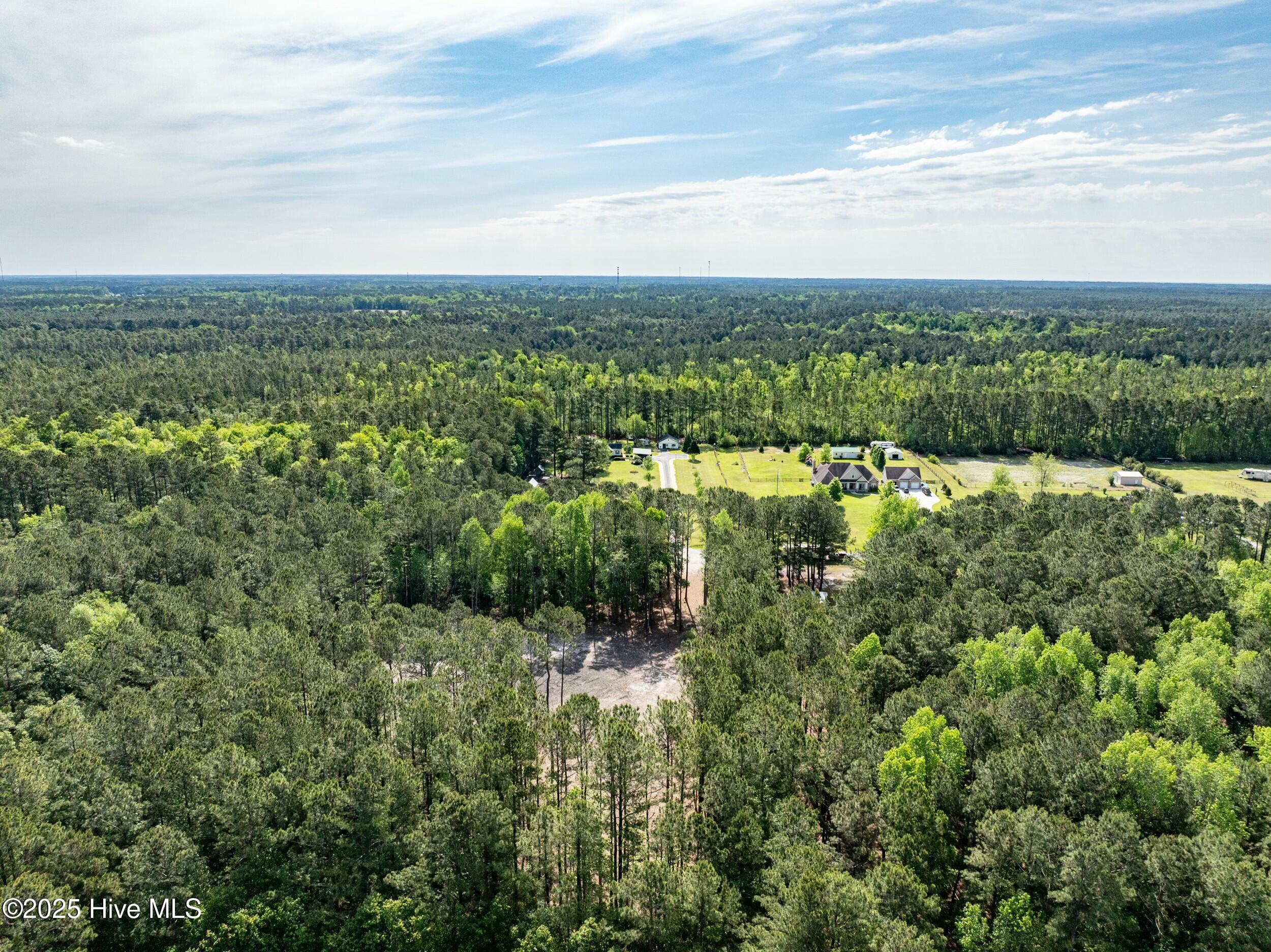 100503919 | Photo 16