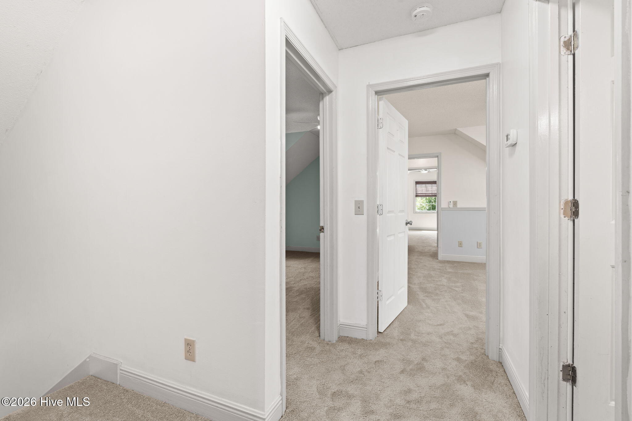 100564721 | Photo 49