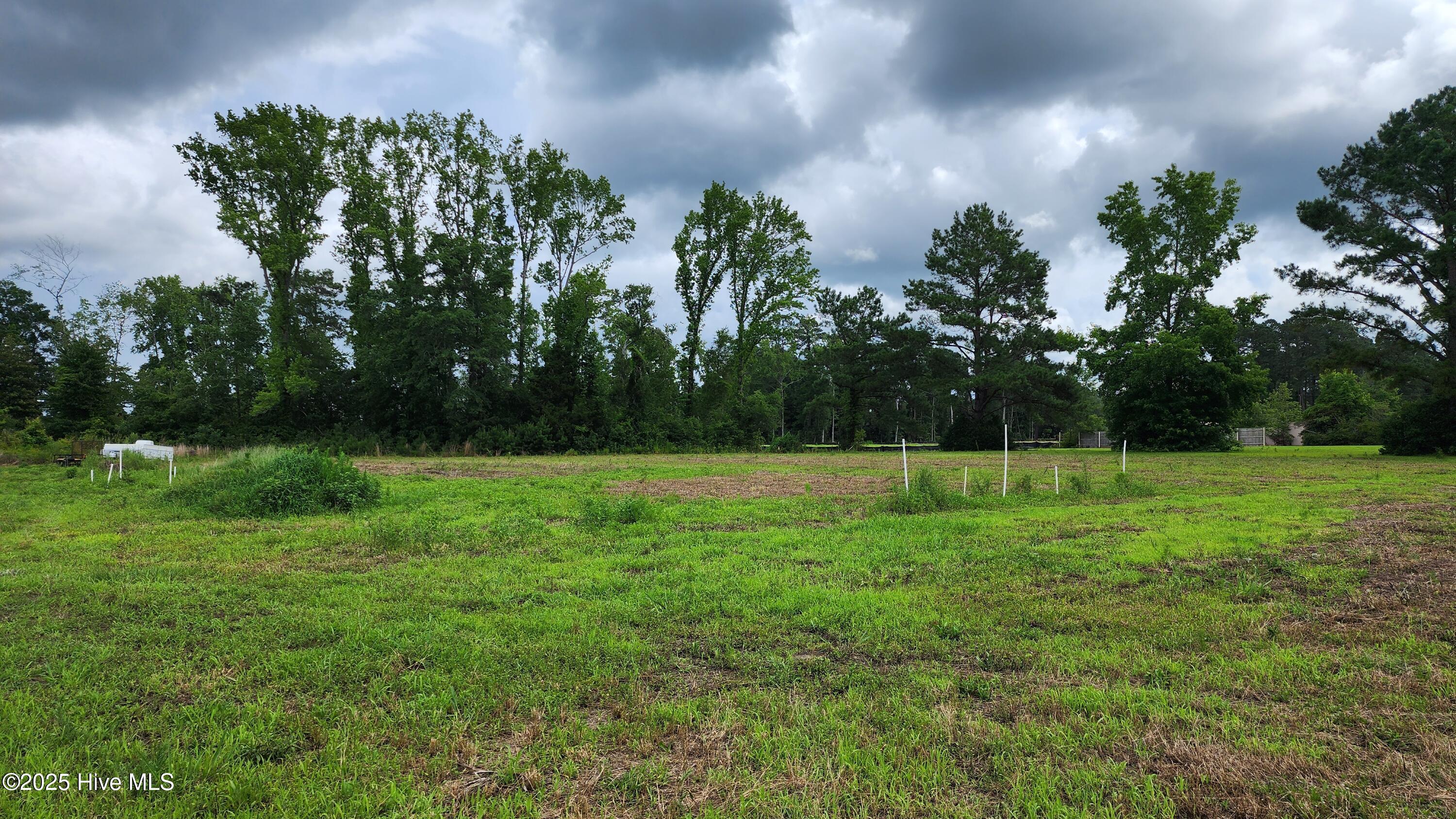 Homes for sale in Chadbourn, NC | 111 Blanche St, Chadbourn, NC 28431 | MLS# 100513390