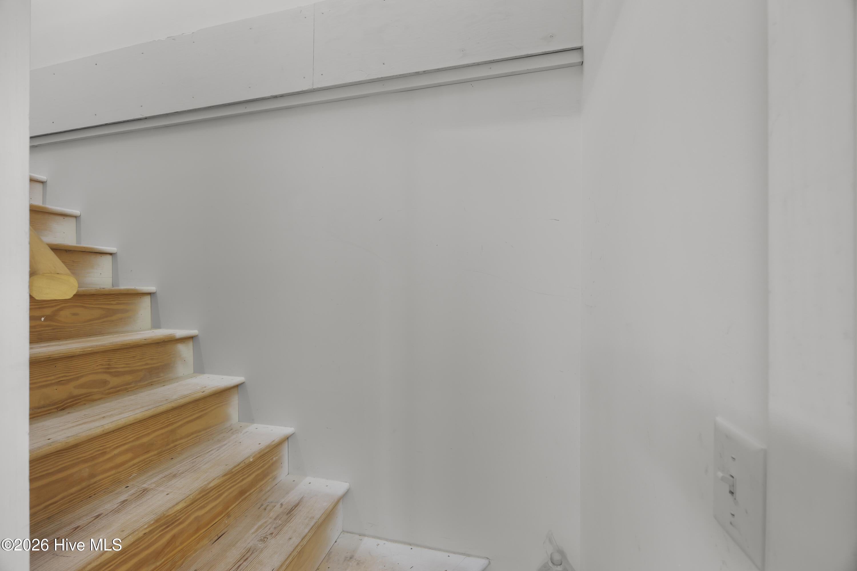100557041 | Photo 57